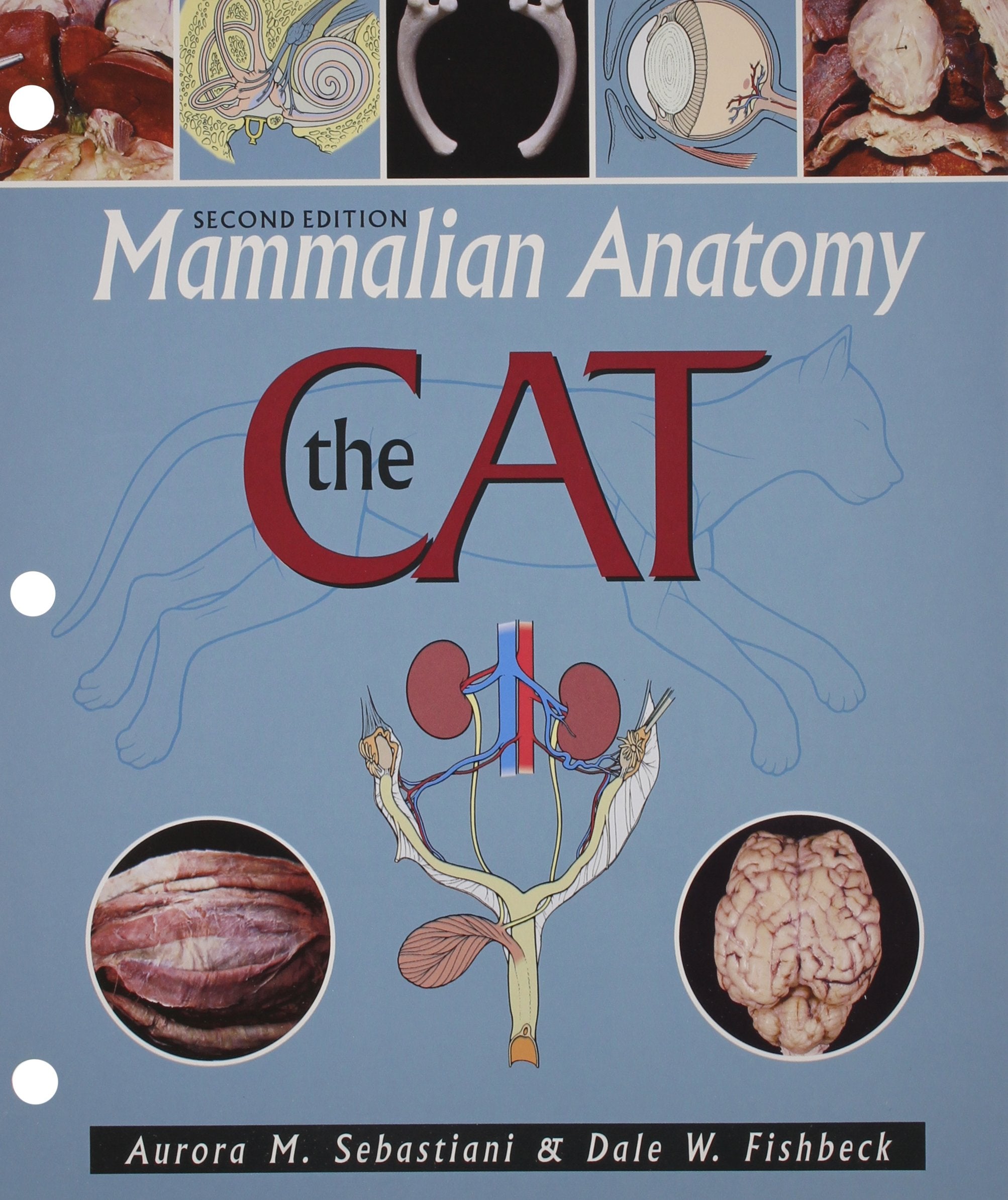 Mammalian Anatomy: The Cat,Used