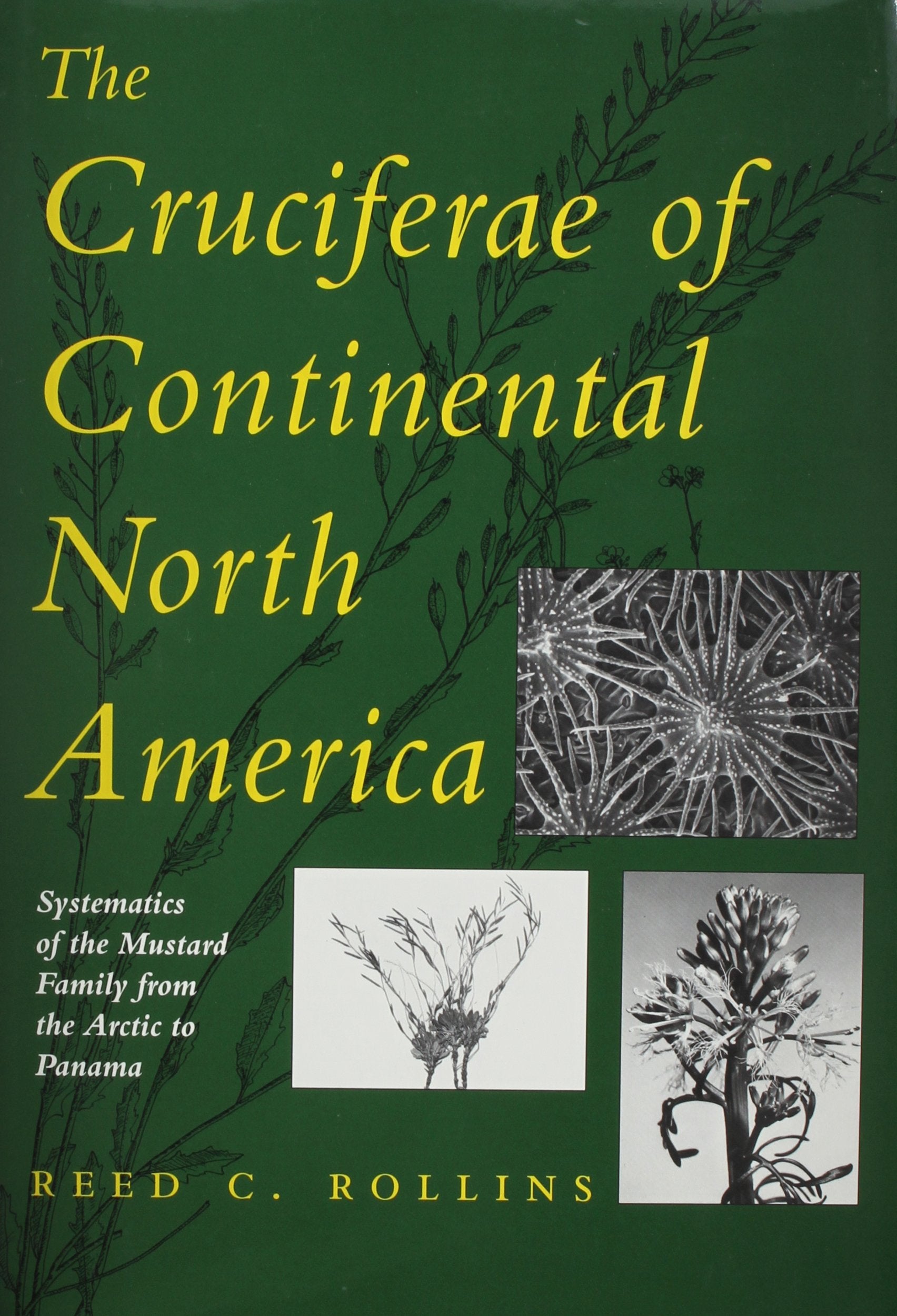 The Cruciferae of Continental North America: Systematics of the Mustard Family from the Arctic to Panama,Used