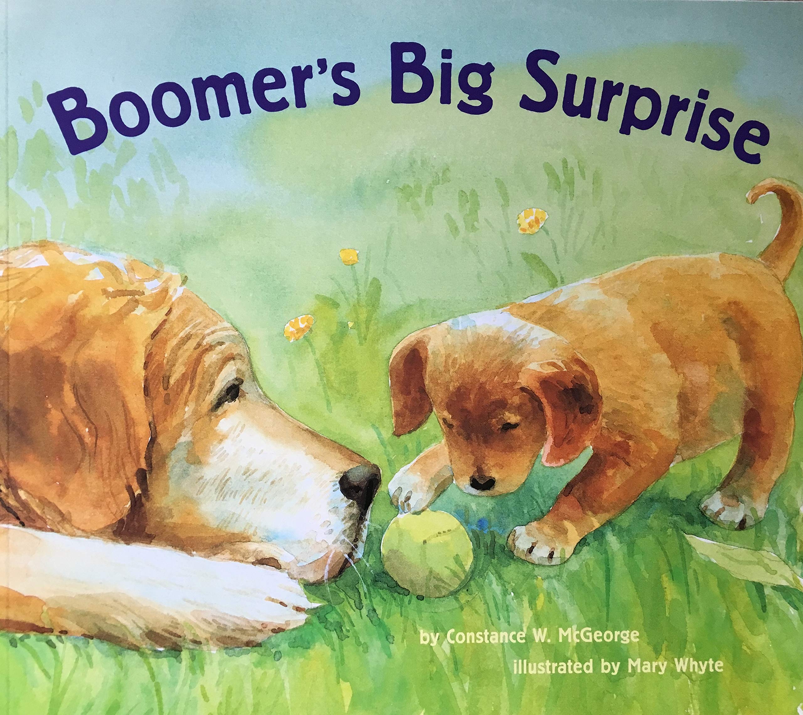 Boomers Big Surprise,Used