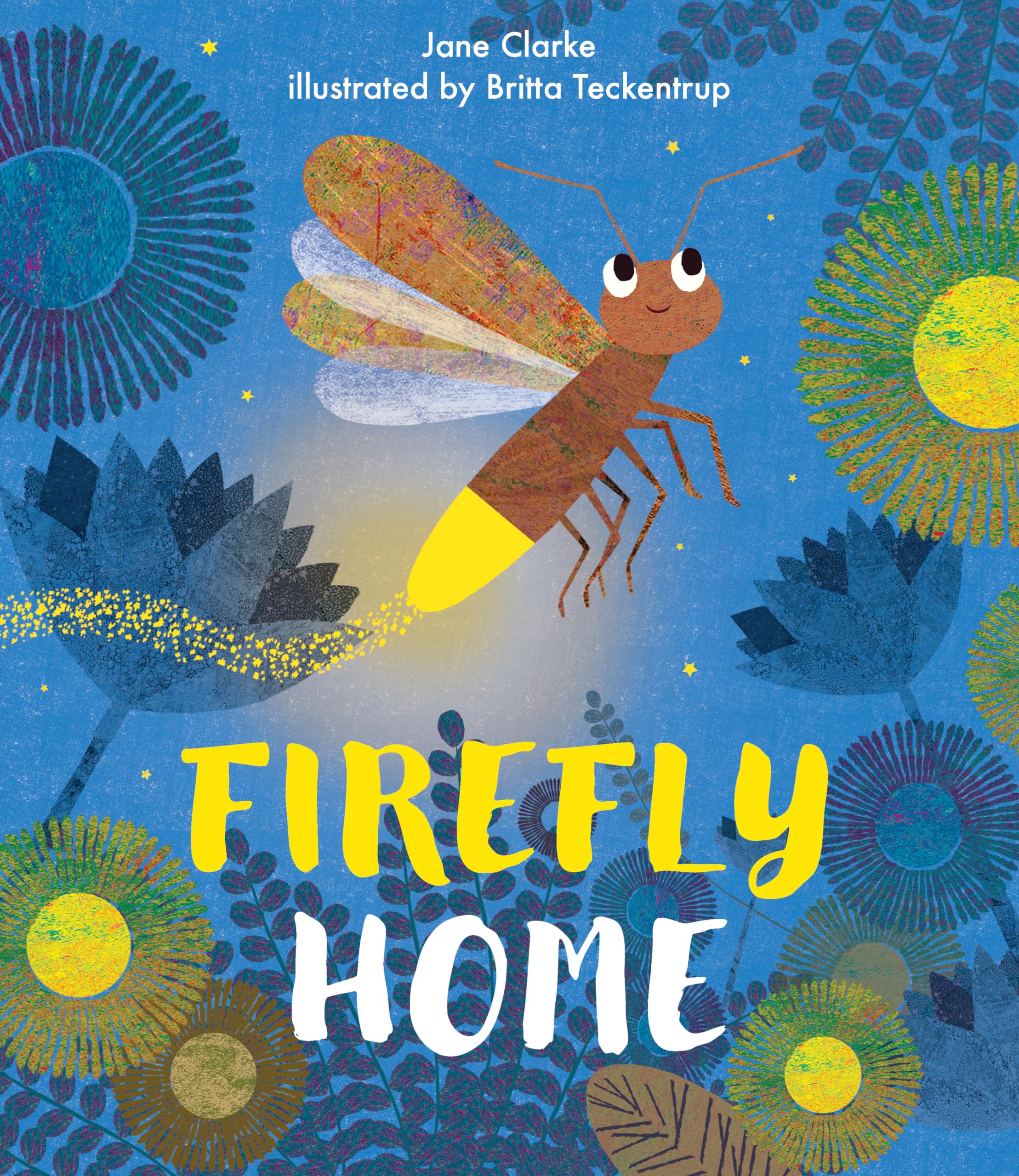 Firefly Home (Neon Animals Picture Books),Used