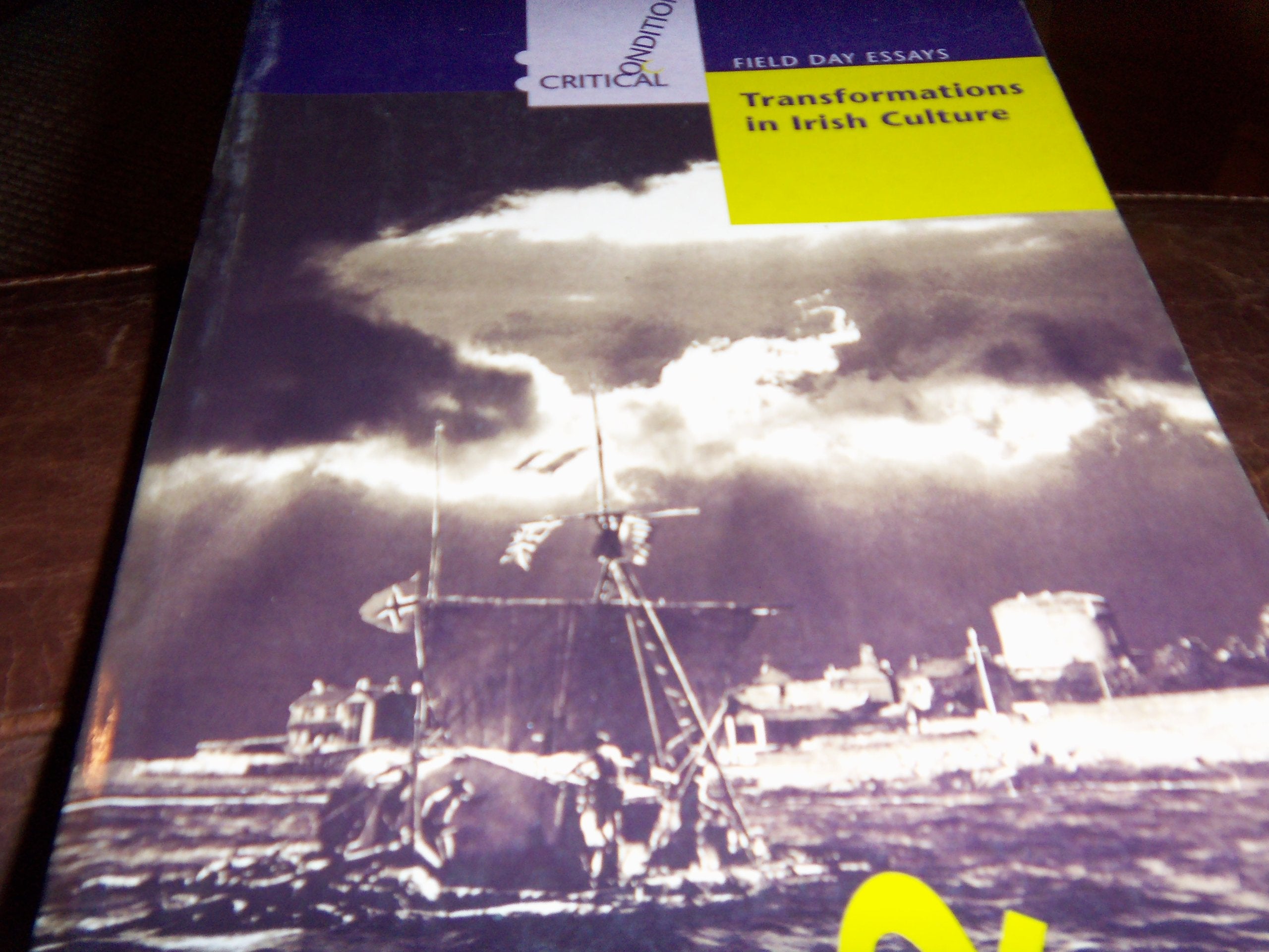 Transformations in Irish Culture (Critical Conditions),Used