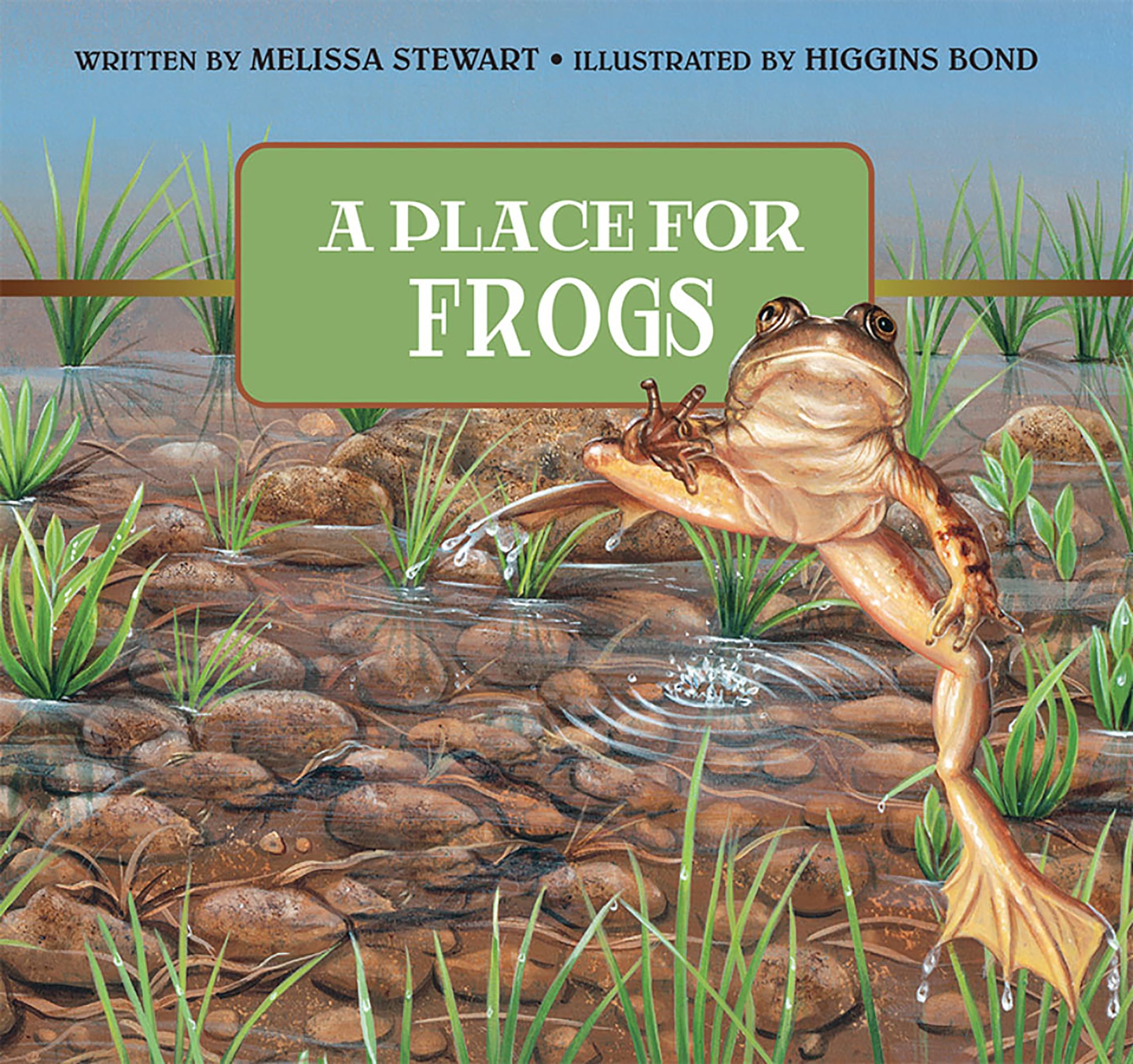 A Place for Frogs,Used