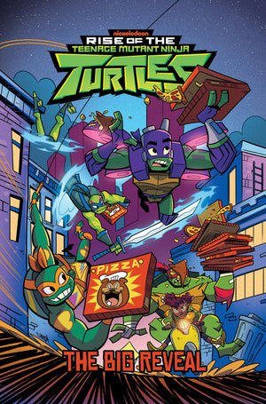 Rise Of The Teenage Mutant Ninja Turtles: The Big Reveal (Rise Of Tmnt),New