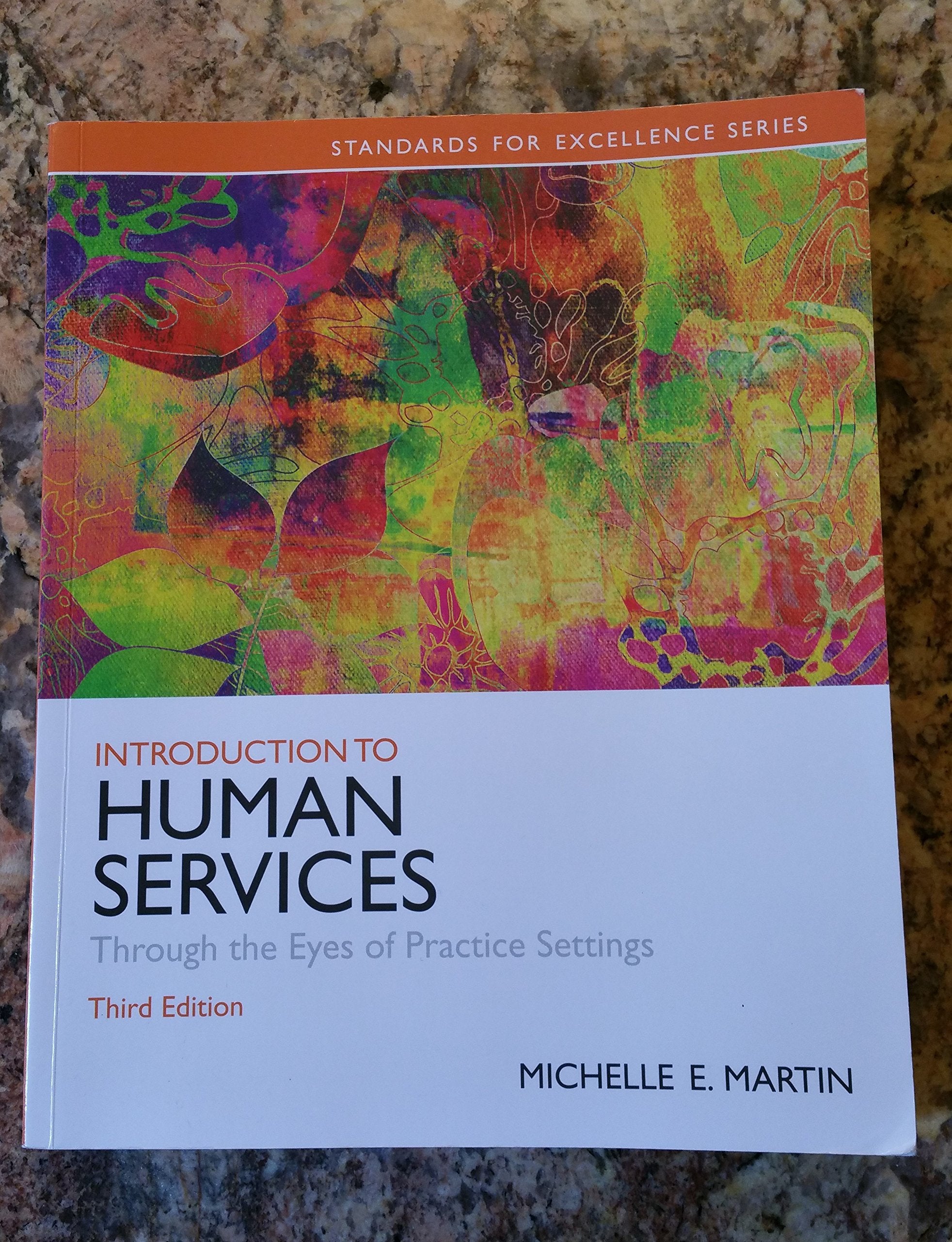 Introduction to Human Services: Through the Eyes of Practice Settings (3rd Edition) (Standards for Excellence),Used