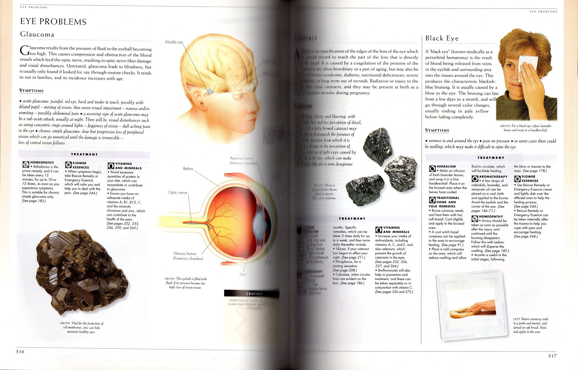 Illustrated Encyclopedia of Healing Remedies,Used