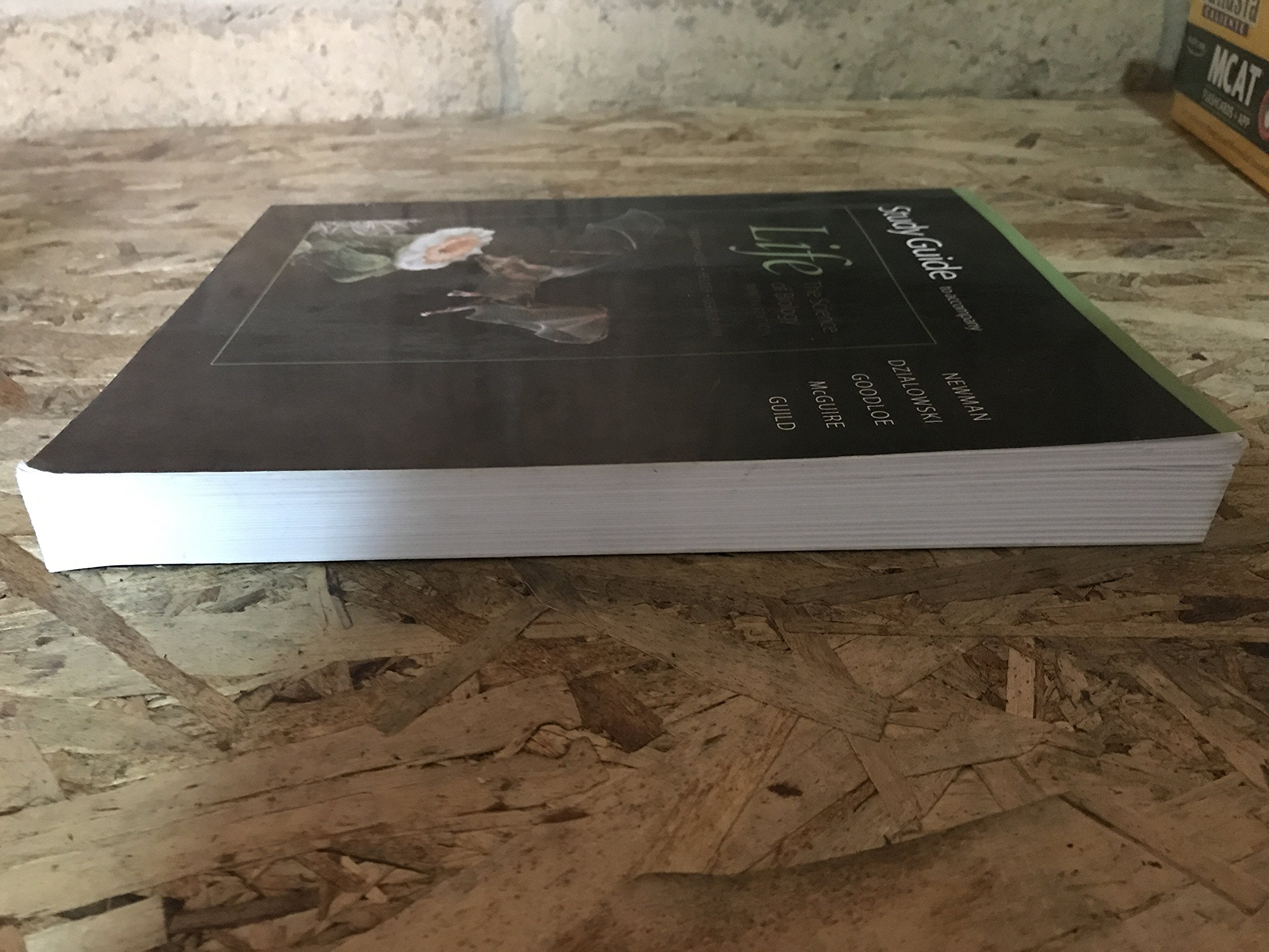Study Guide to Accompany: Life, the Science of Biology, 9th Edition,Used
