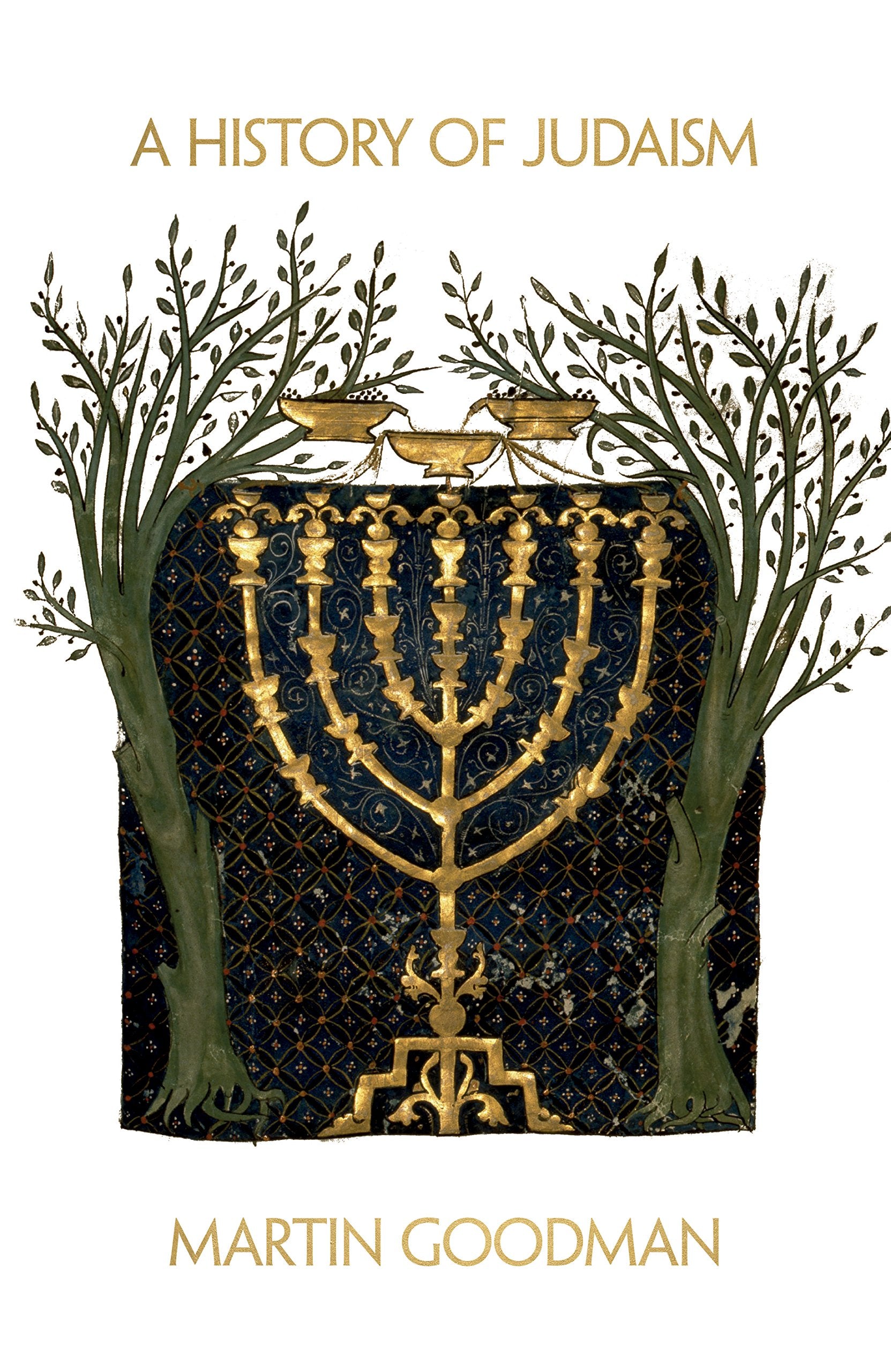 A History of Judaism,Used