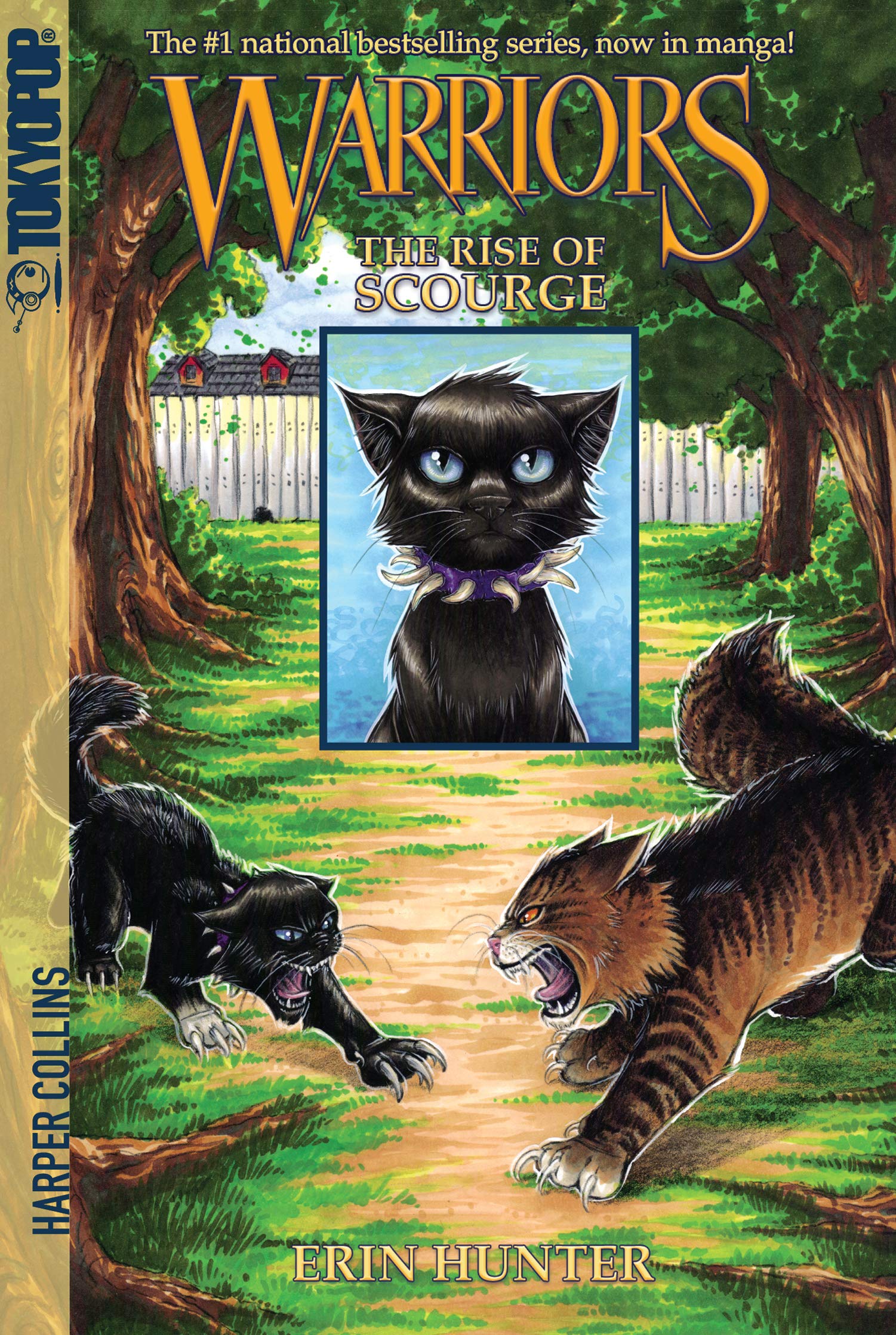 Warriors: The Rise Of Scourge,New