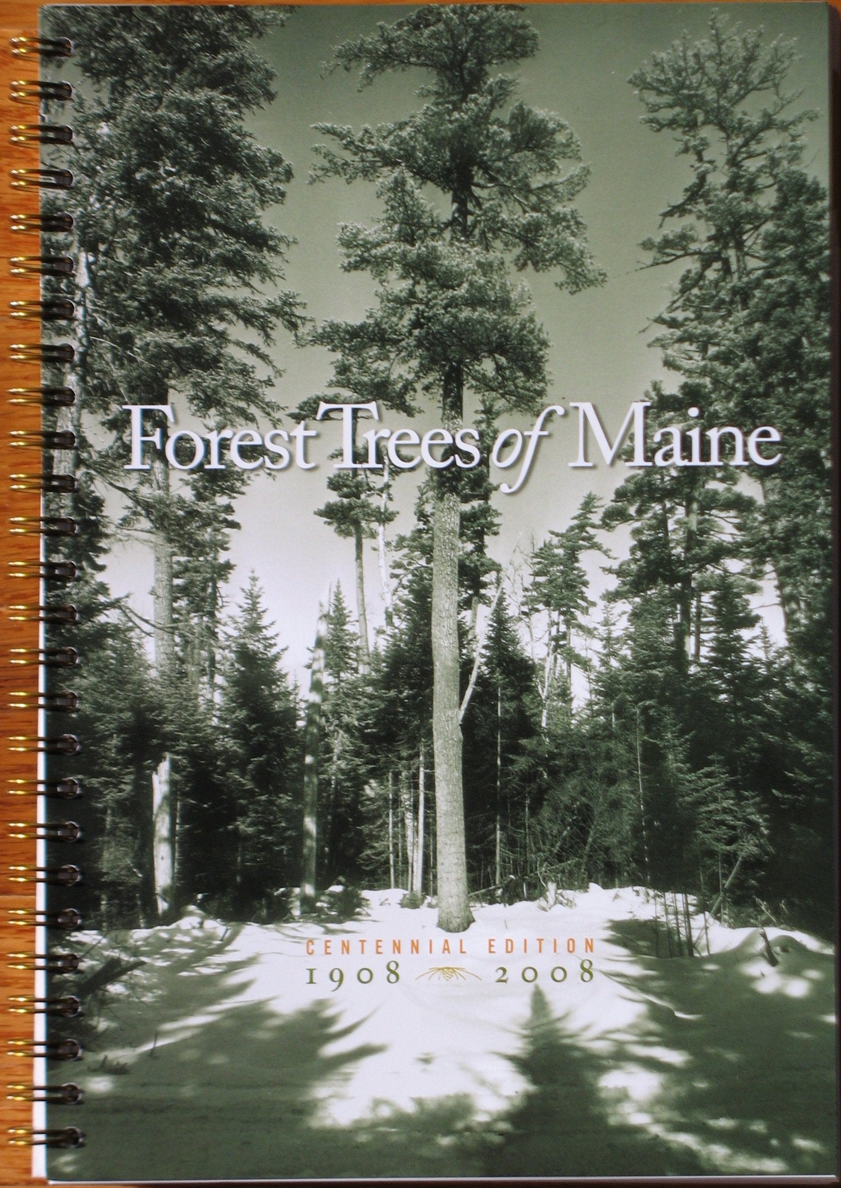 Forest Trees Of Maine: 19082008