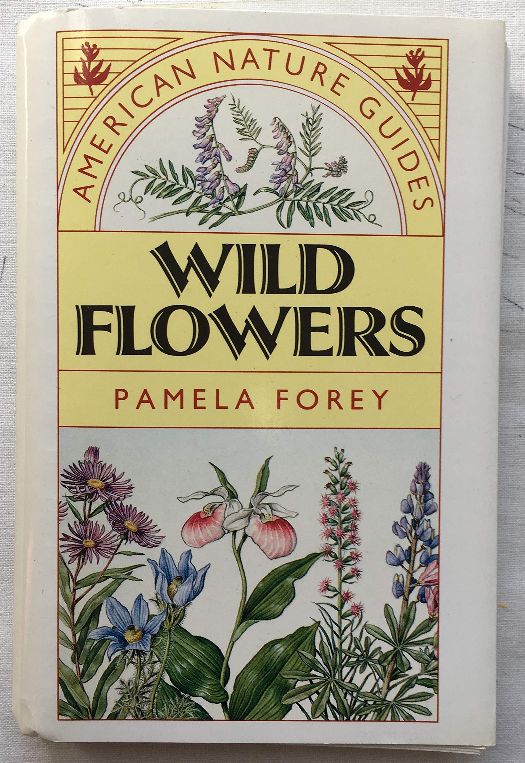 American Nature Guides: Wildflowers,Used