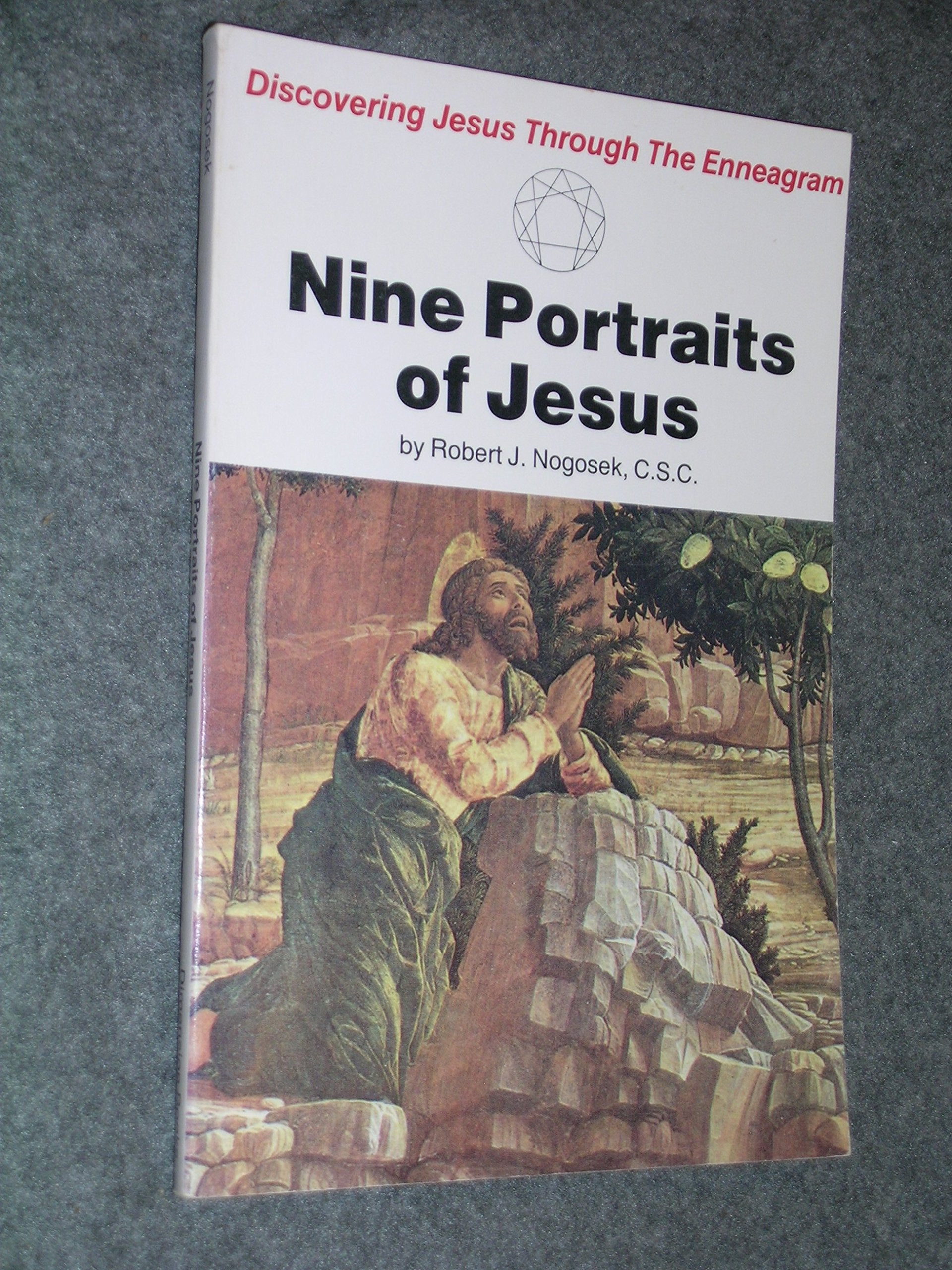 Nine Portraits of Jesus: Discovering Jesus Through the Enneagram,Used