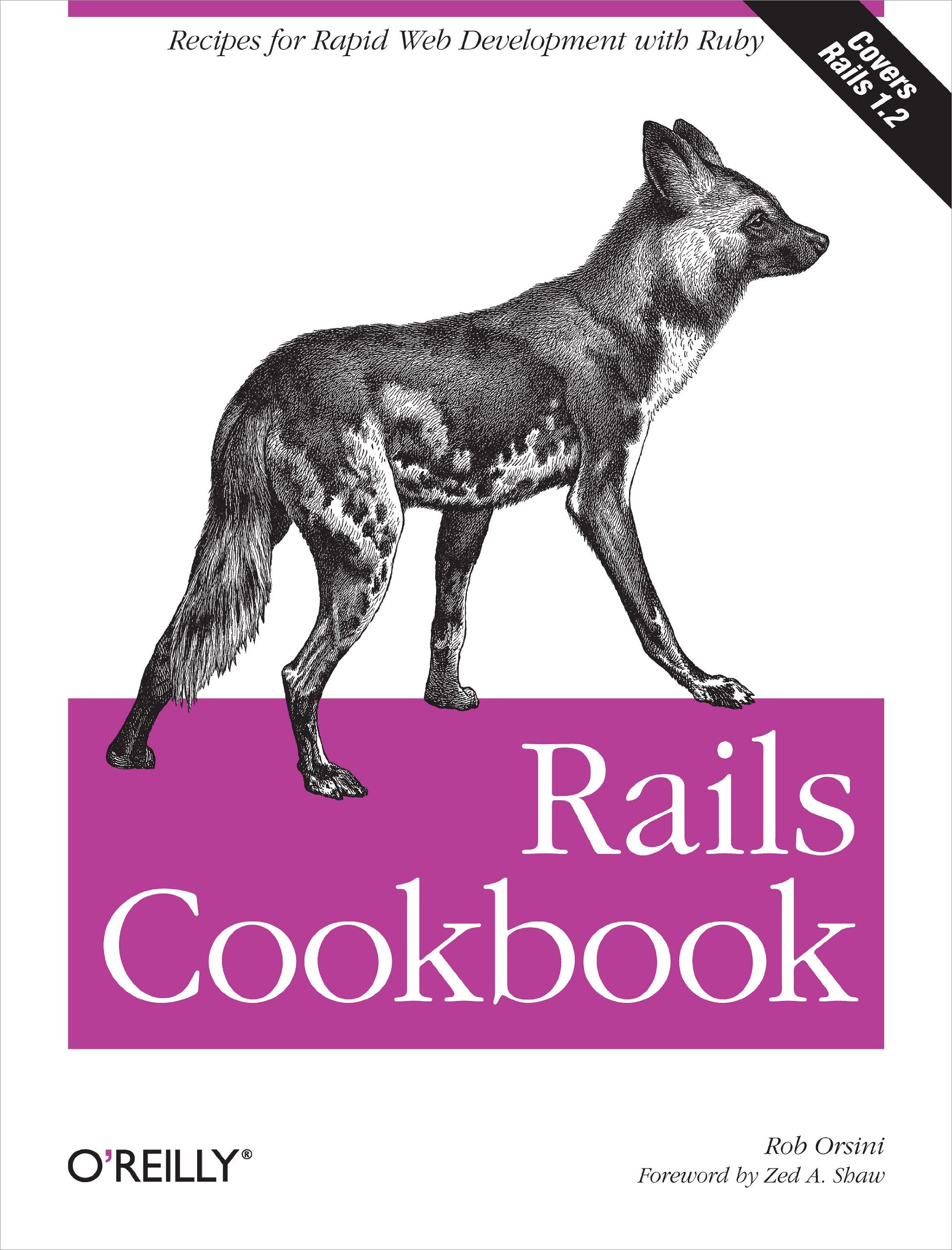 Rails Cookbook: Recipes for Rapid Web Development with Ruby,Used