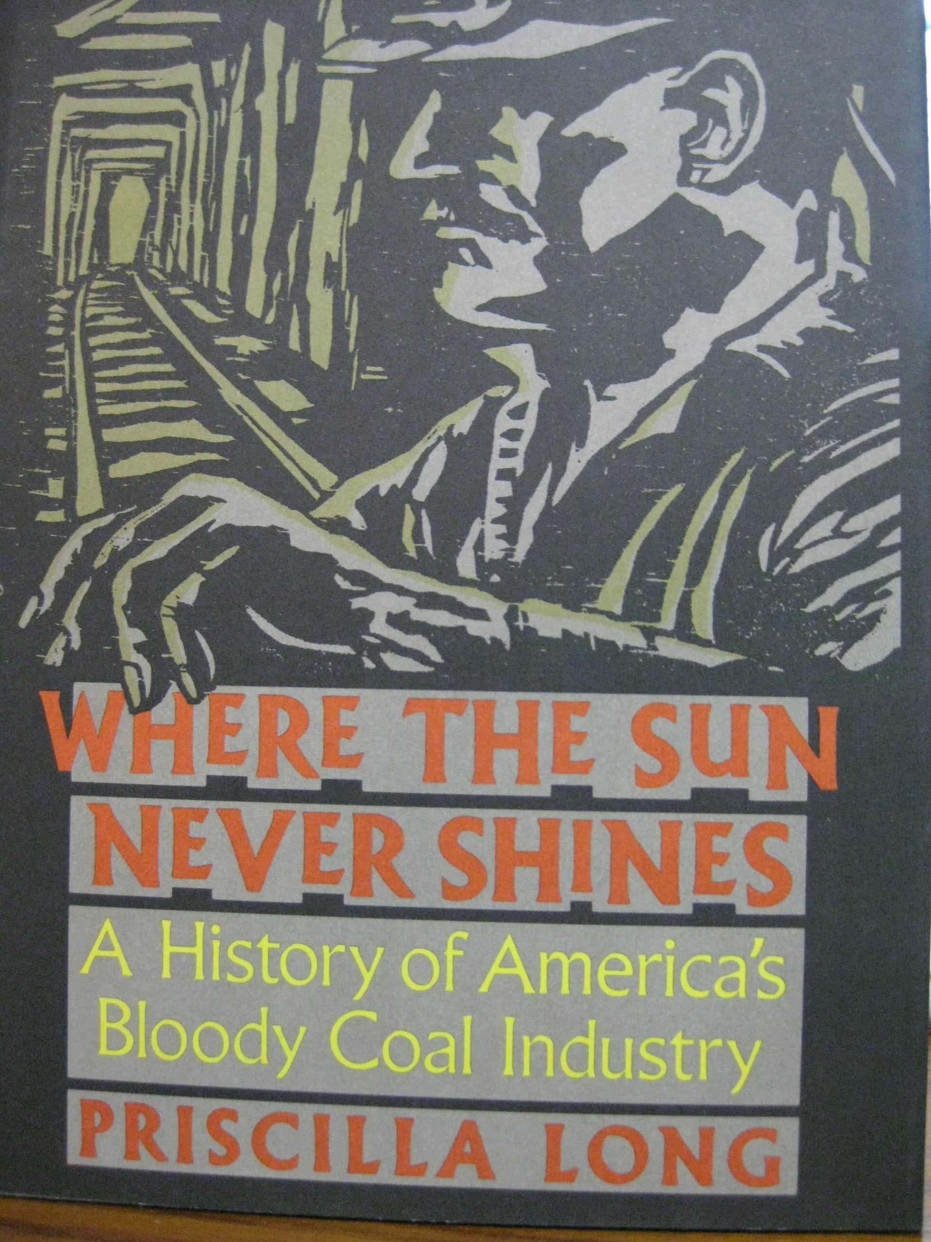 Where the Sun Never Shines: A History of America's Bloody Coal Industry,Used