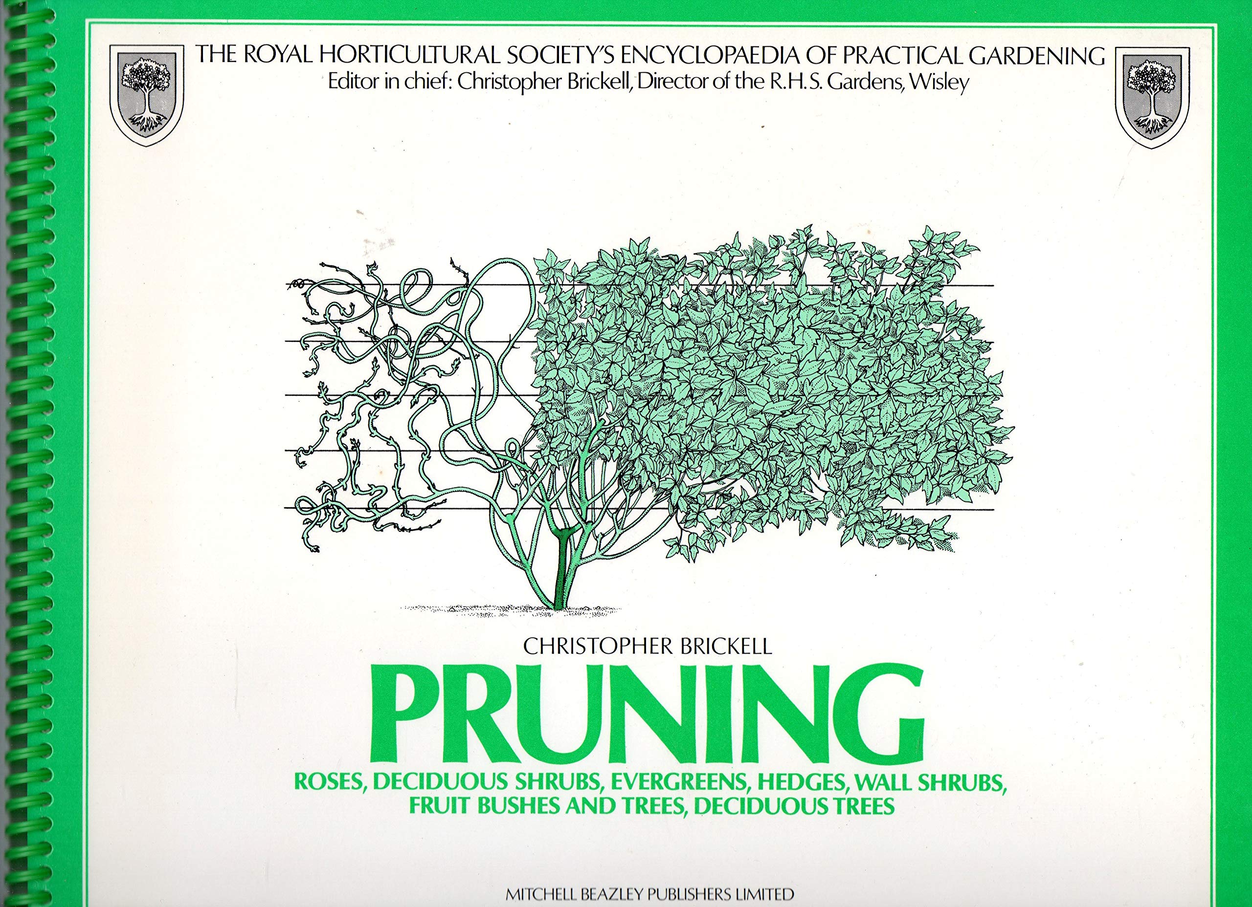 Pruning (The Simon and Schuster stepbystep encyclopedia of practical gardening),Used