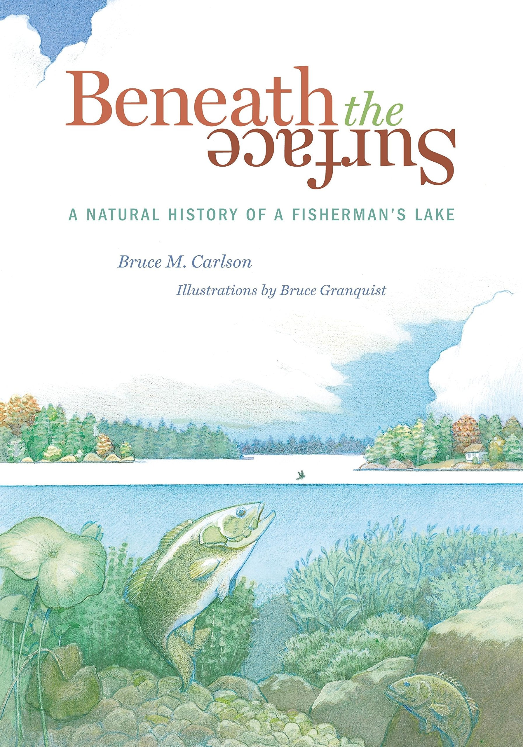 Beneath The Surface: A Natural History of a Fisherman's Lake,Used