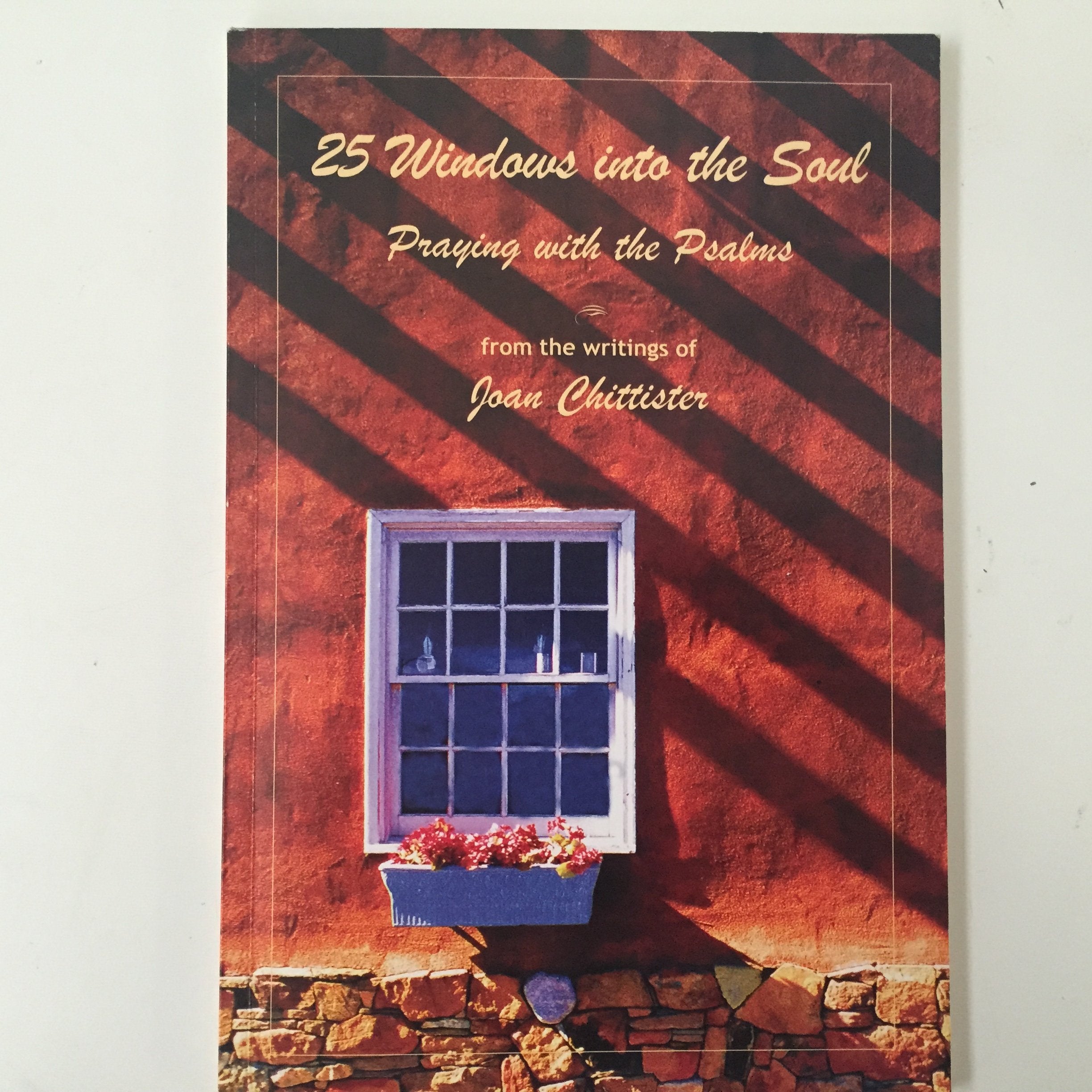 25 Windows Into the Soul: Praying with the Psalms,New