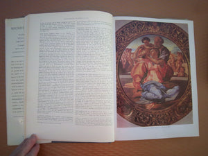 Michelangelo: Paintings, sculptures, architecture : complete edition,Used
