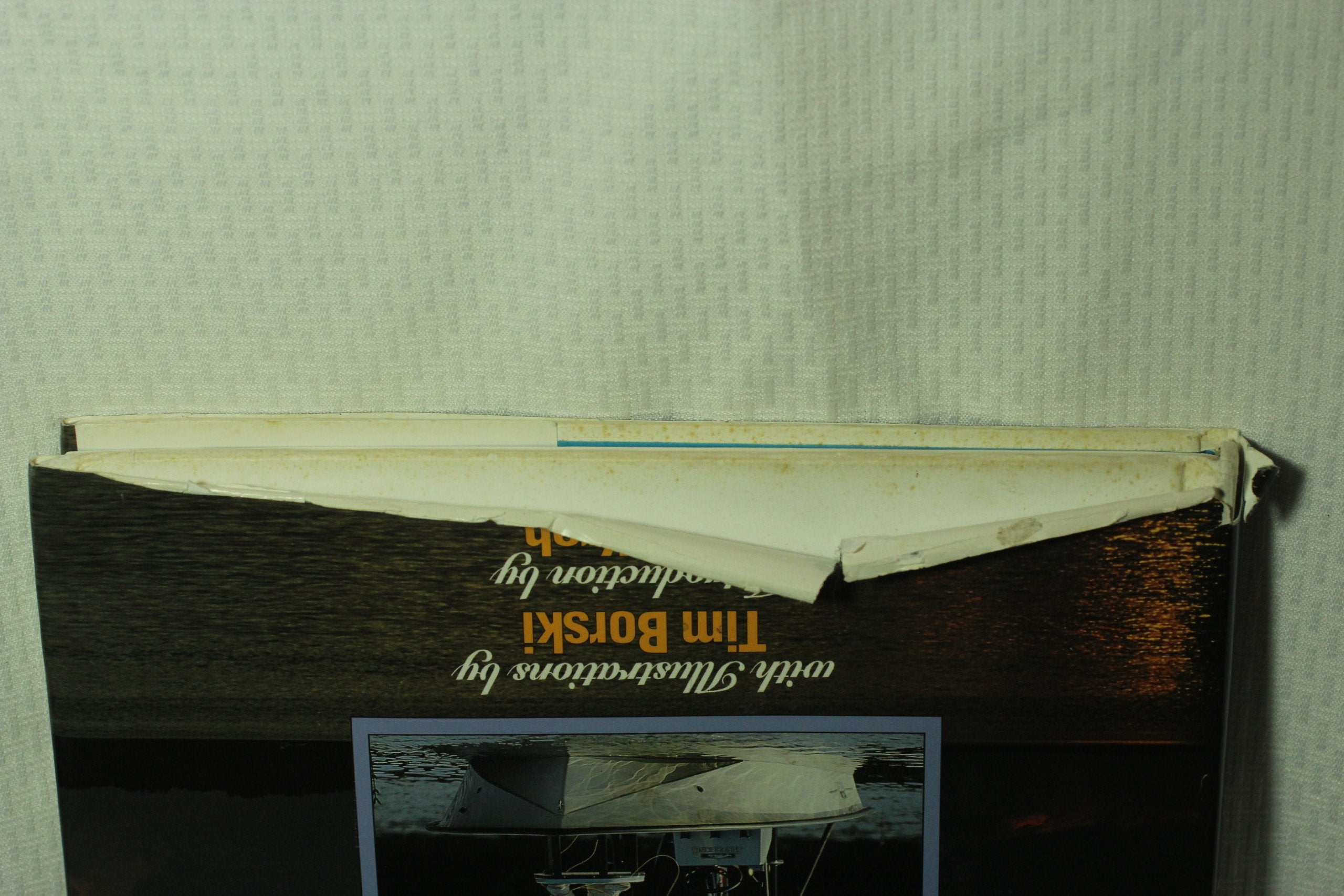 Memories, Mangroves & Magic,Used