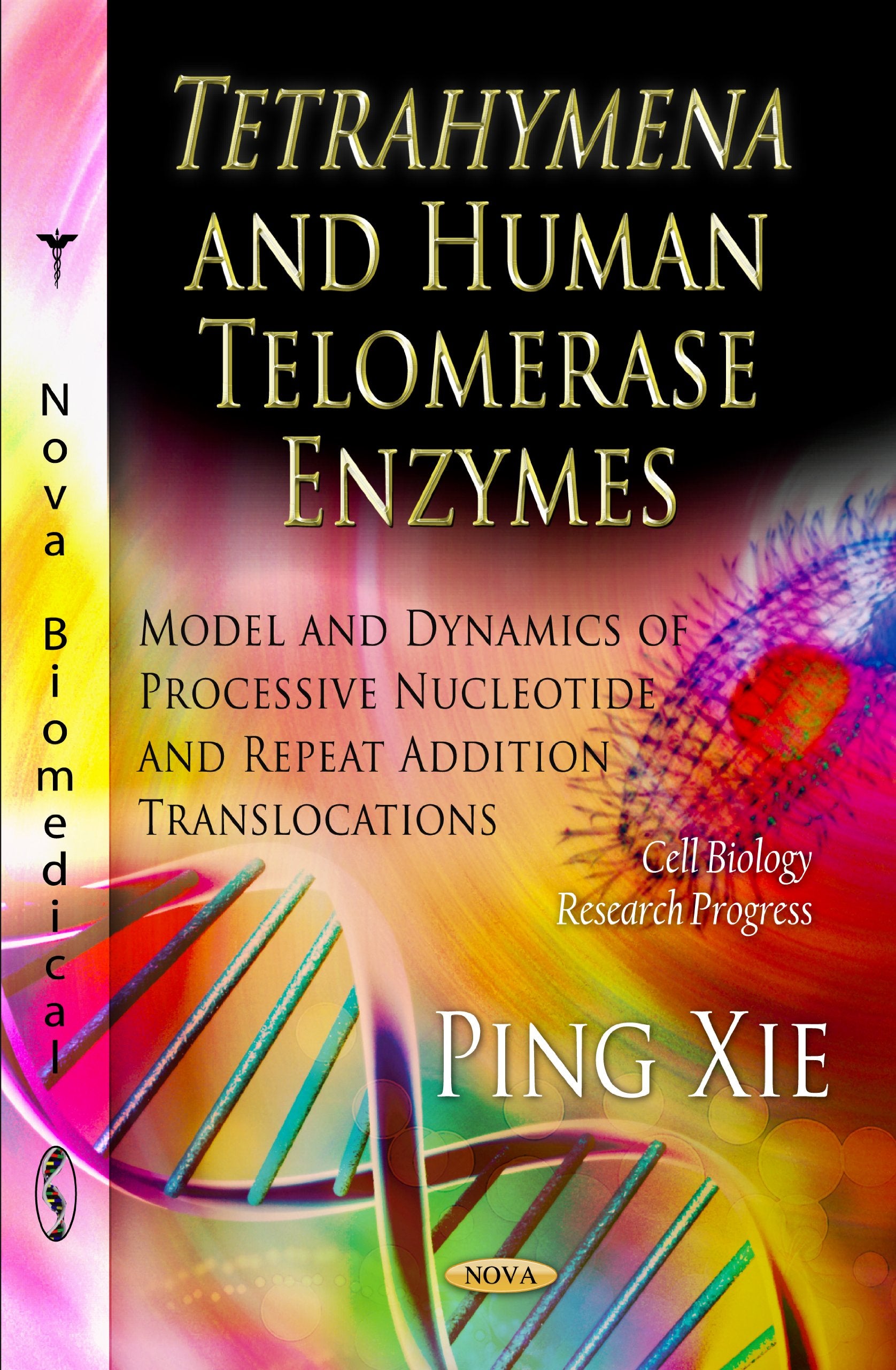 Tetrahymena And Human Telomerase Enzymes: Model And Dynamics Of Processive Nucleotide And Repeat Addition Translocations (Cell B,Used