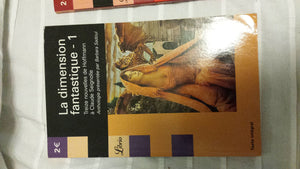 La Dimension Fantastique  De Poe A Colette, 11 Nouvelles Ensorcelees T1: De Poe A Colette, 11 Nouvelles Ensorcelees (1),Used
