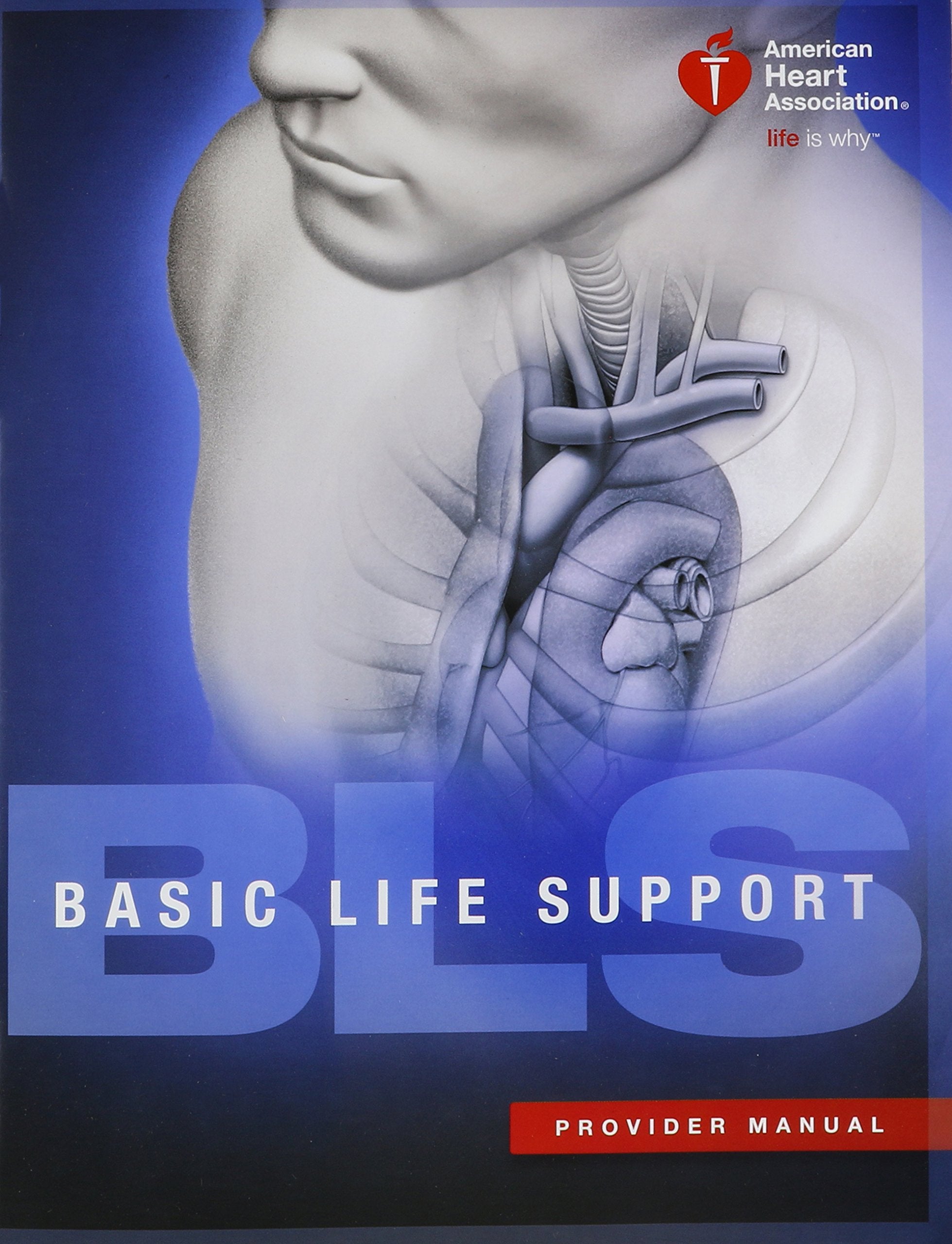 Bls (Basic Life Support) Provider Manual