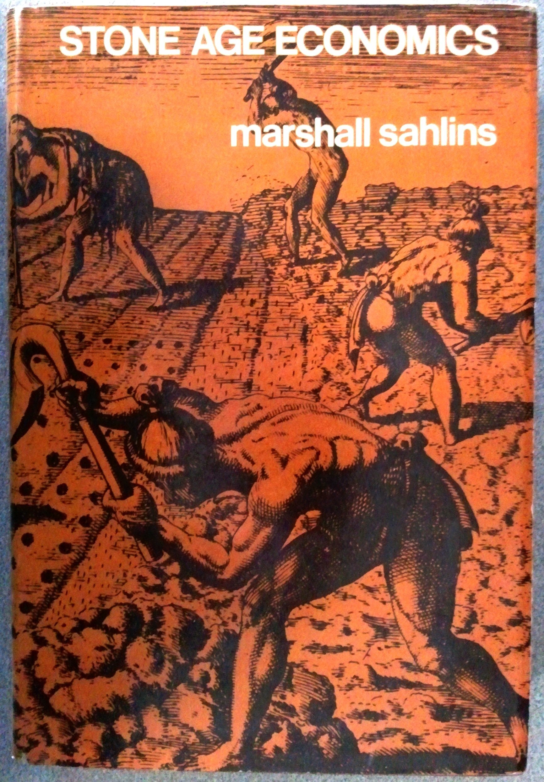 Stone Age Economics,Used