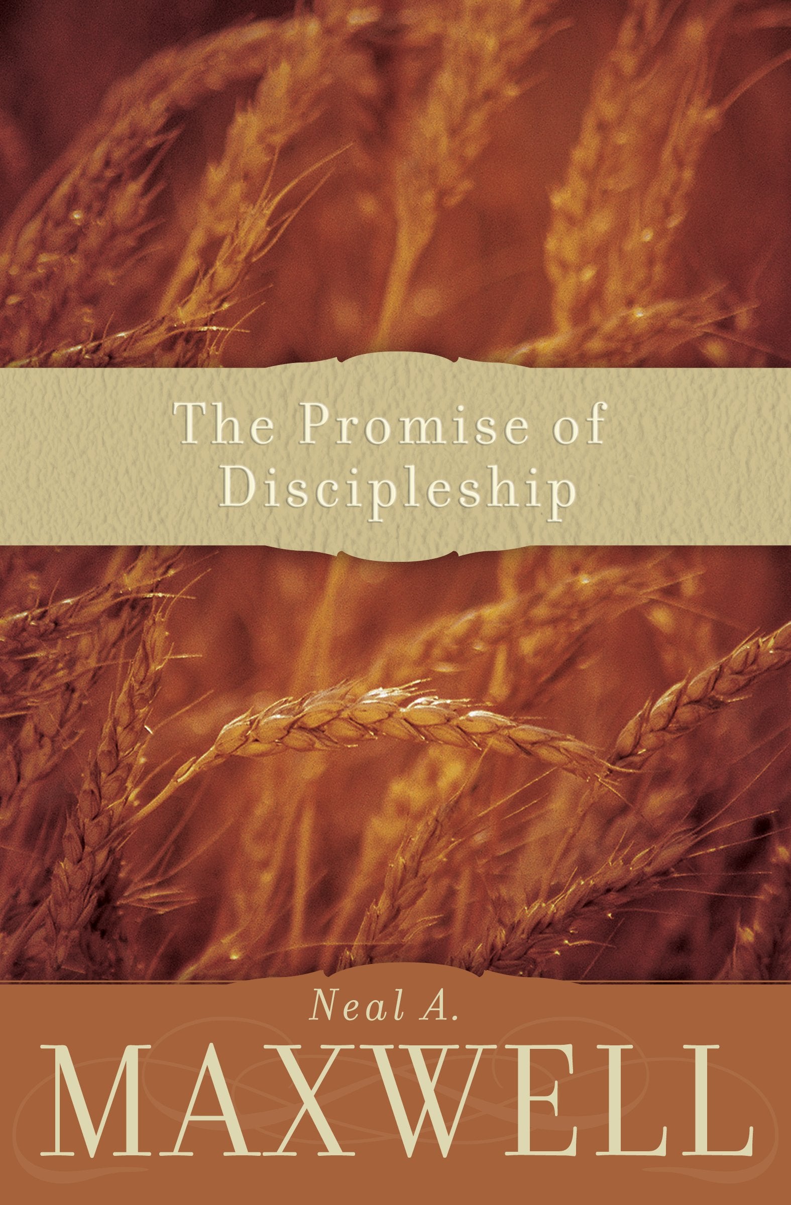 The Promise of Discipleship,Used