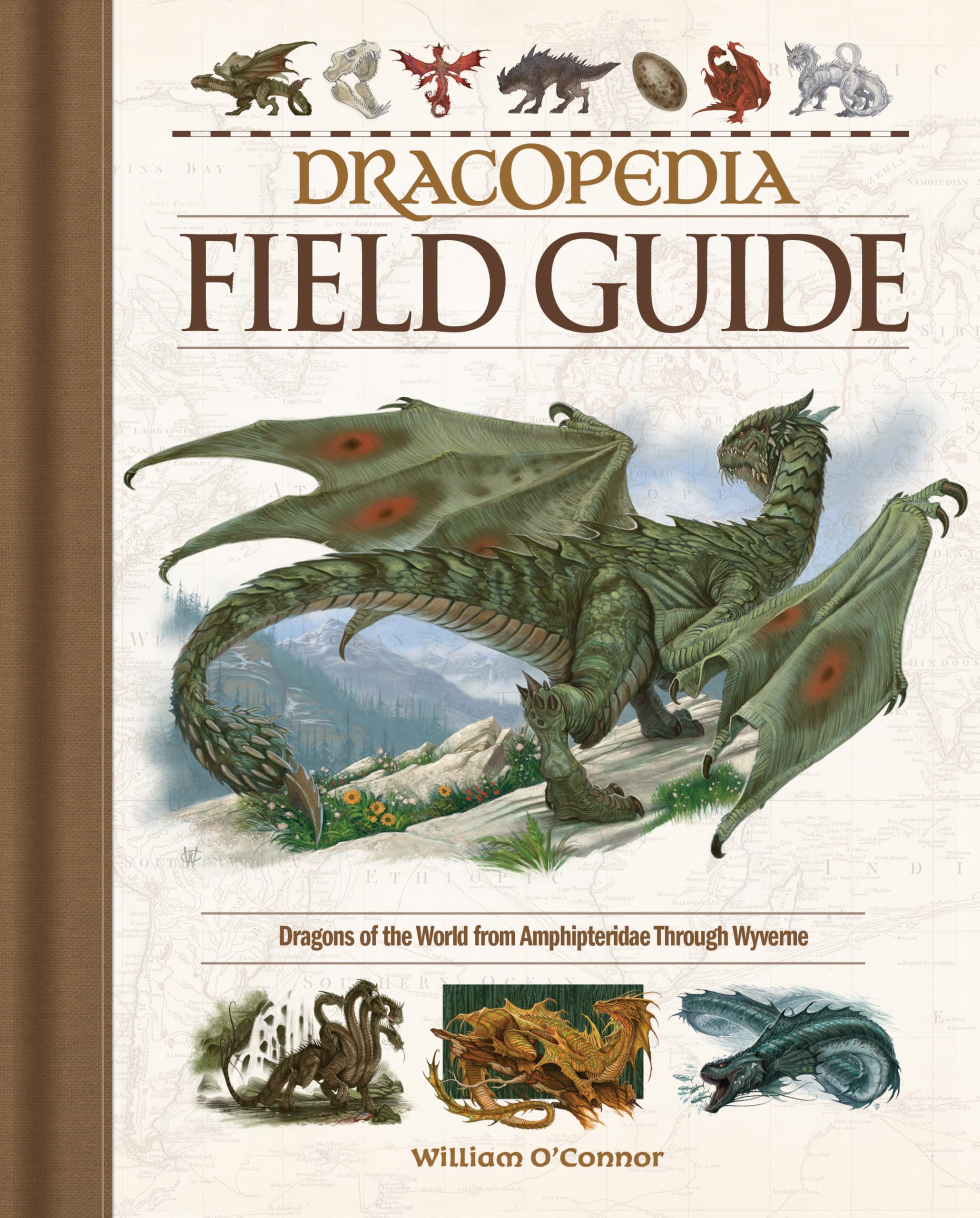 Dracopedia Field Guide: Dragons of the World from Amphipteridae through Wyvernae,New