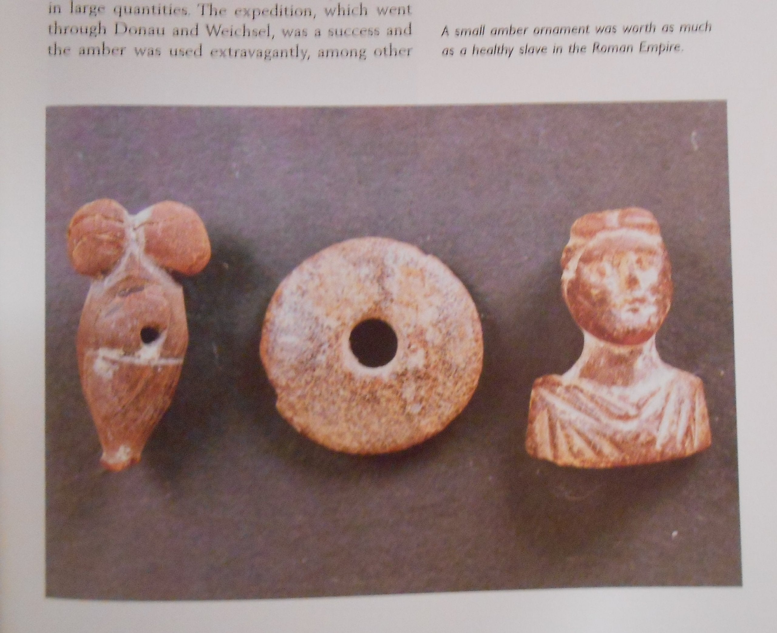 The Amber Book: Ake Dahlstrom And Leif Brost,New