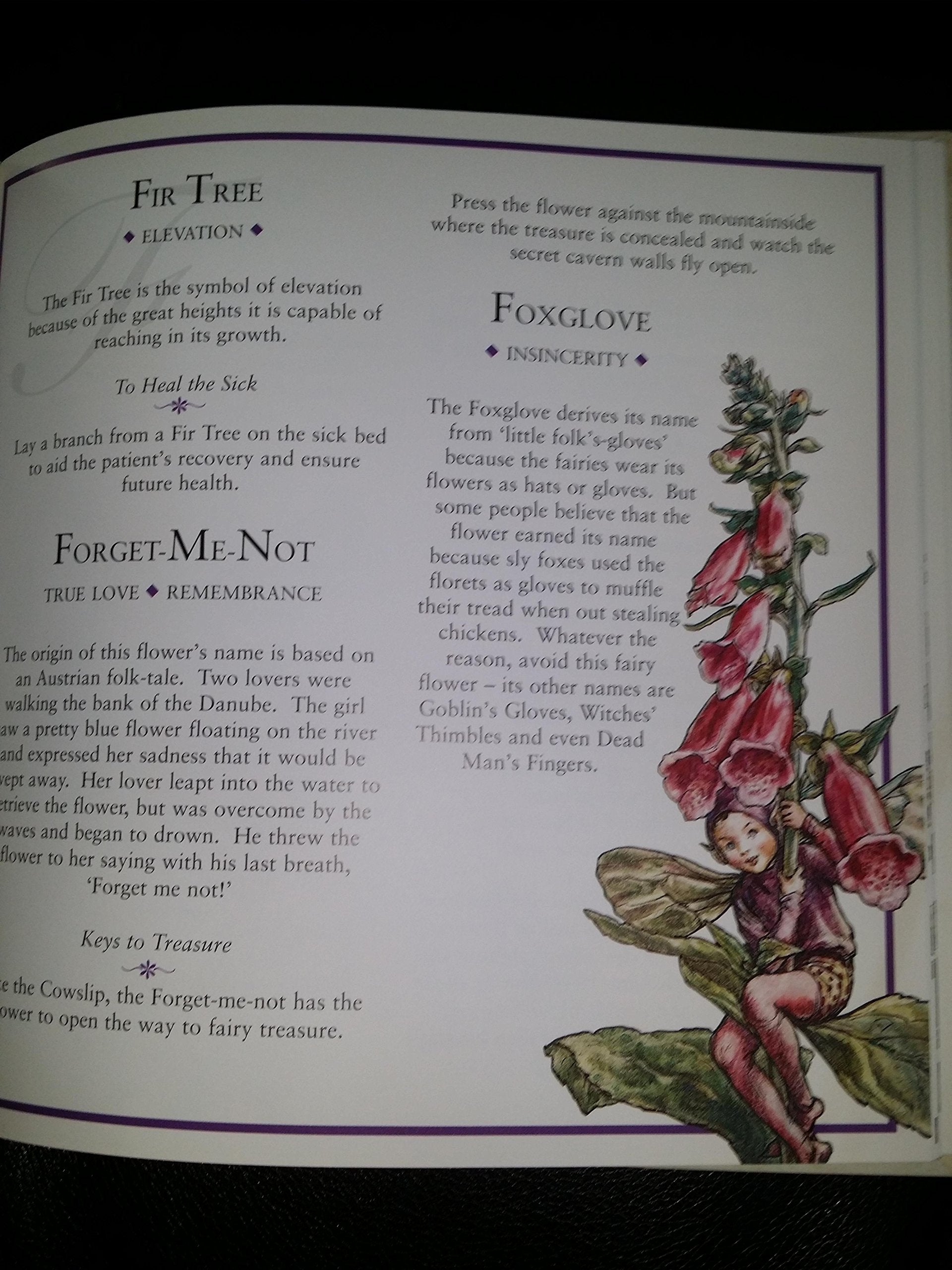 Flower Fairies: The Meaning of Flowers,Used