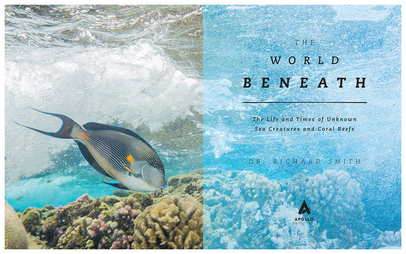 The World Beneath: The Life and Times of Unknown Sea Creatures and Coral Reefs,Used