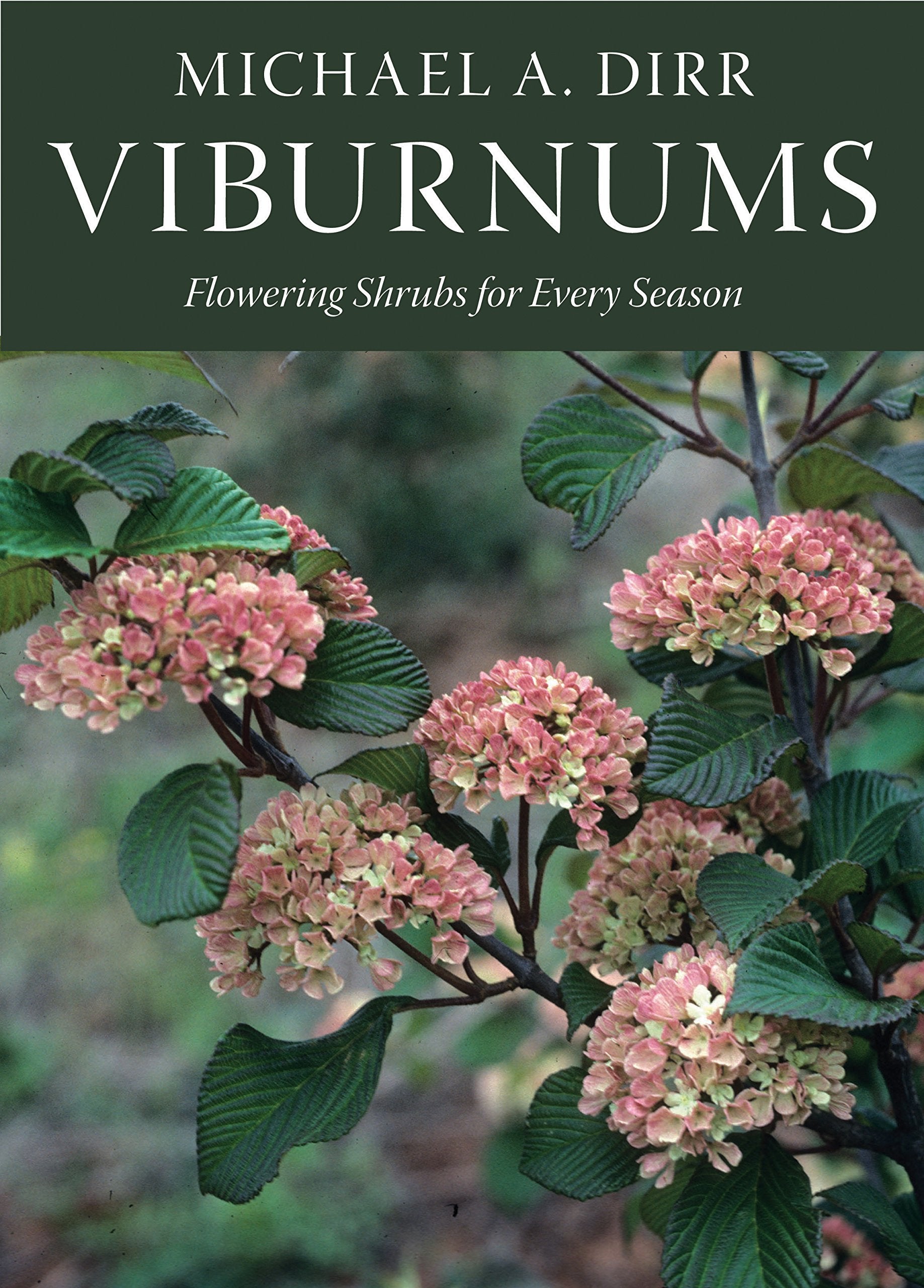 Viburnums: Flowering Shrubs for Every Season,New