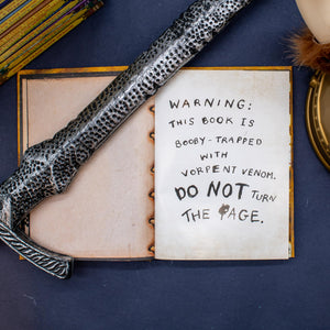 The Complete Book of Dragons: A Guide to Dragon Species by Little, Brown Books for Young Readers - Essential for Dragon Lovers