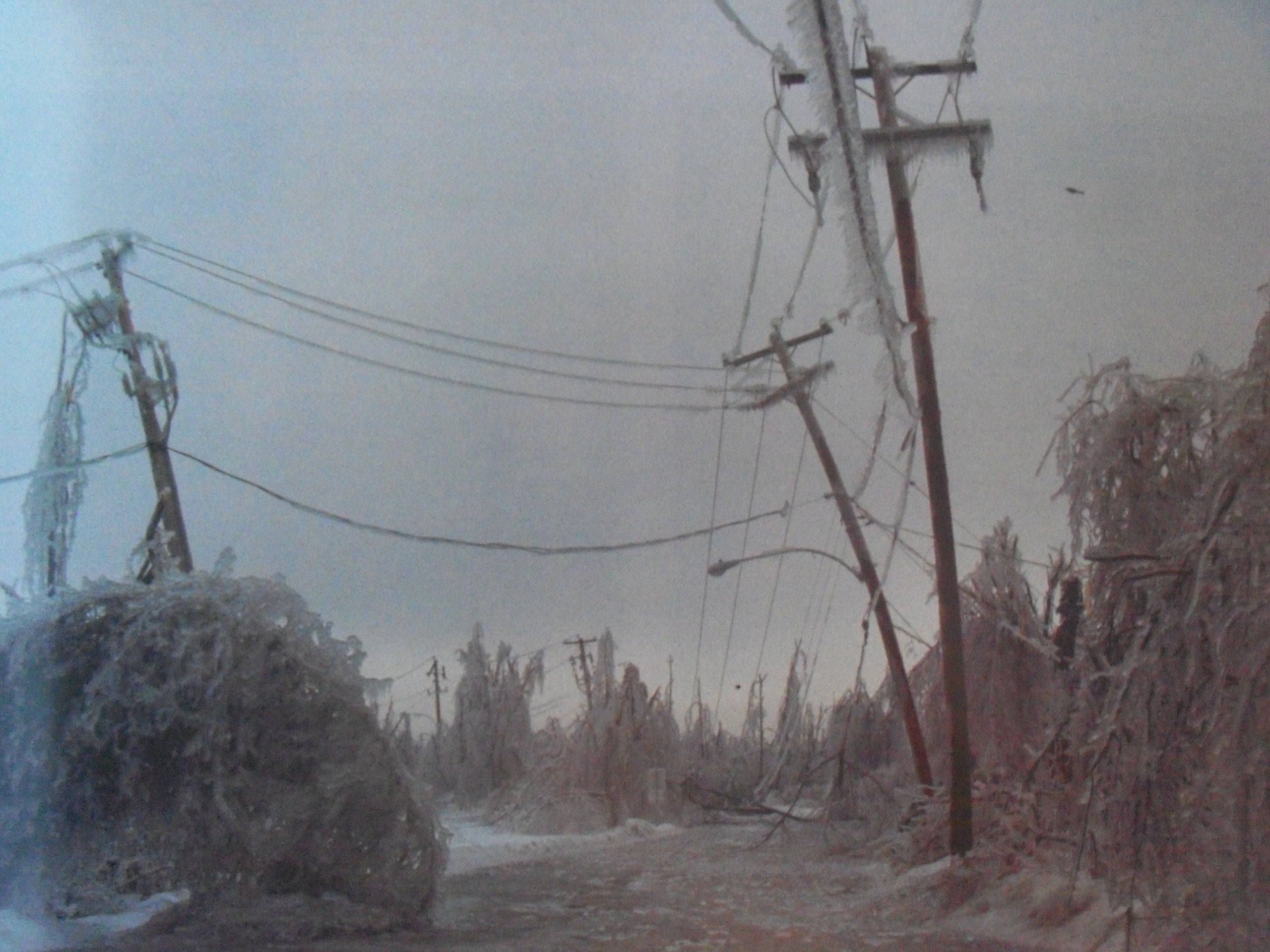 The Ice Storm: An Historic Record in Photographs of January 1998,Used