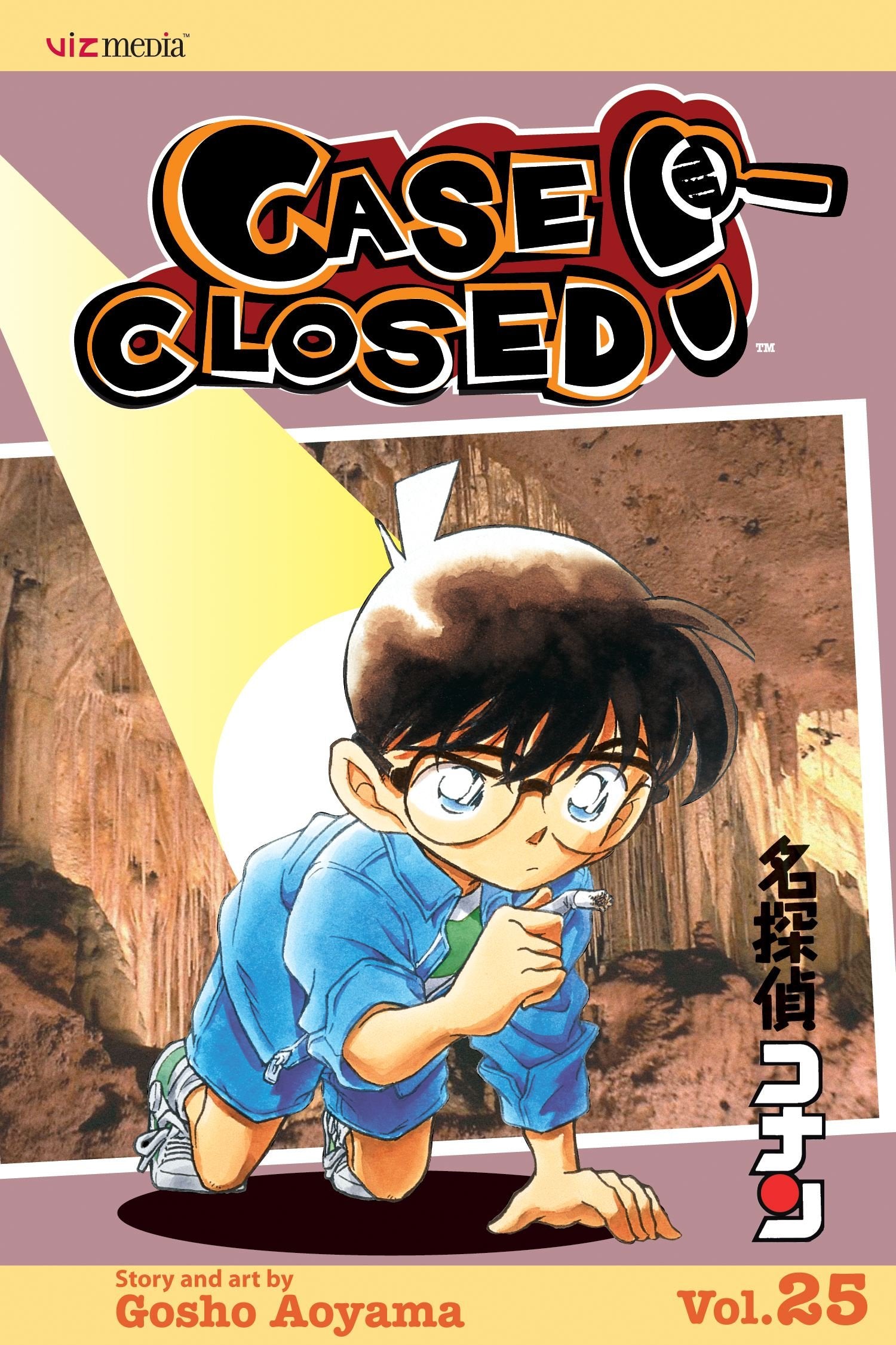 Case Closed, Vol. 25 (25)