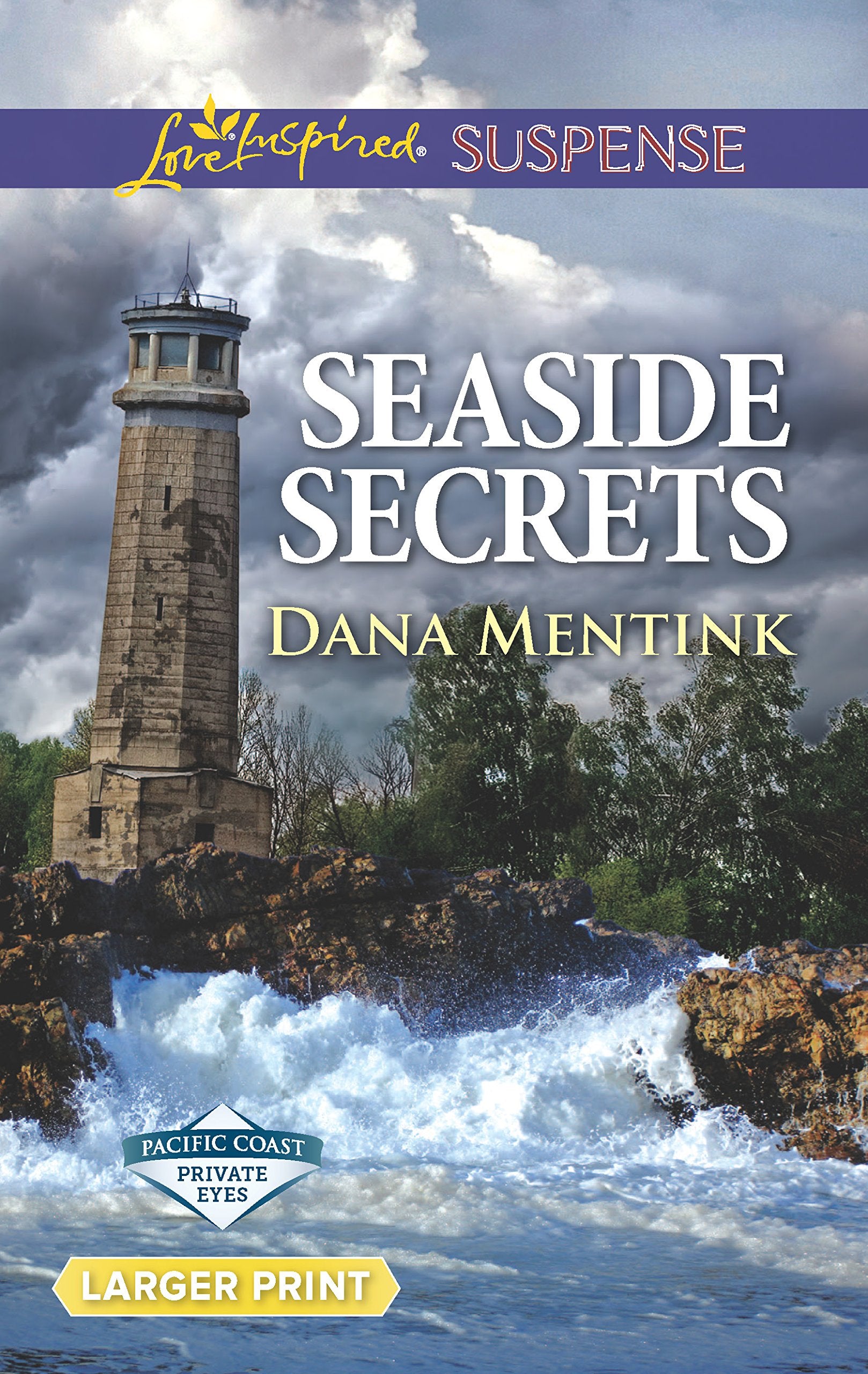 Seaside Secrets (Pacific Coast Private Eyes),Used