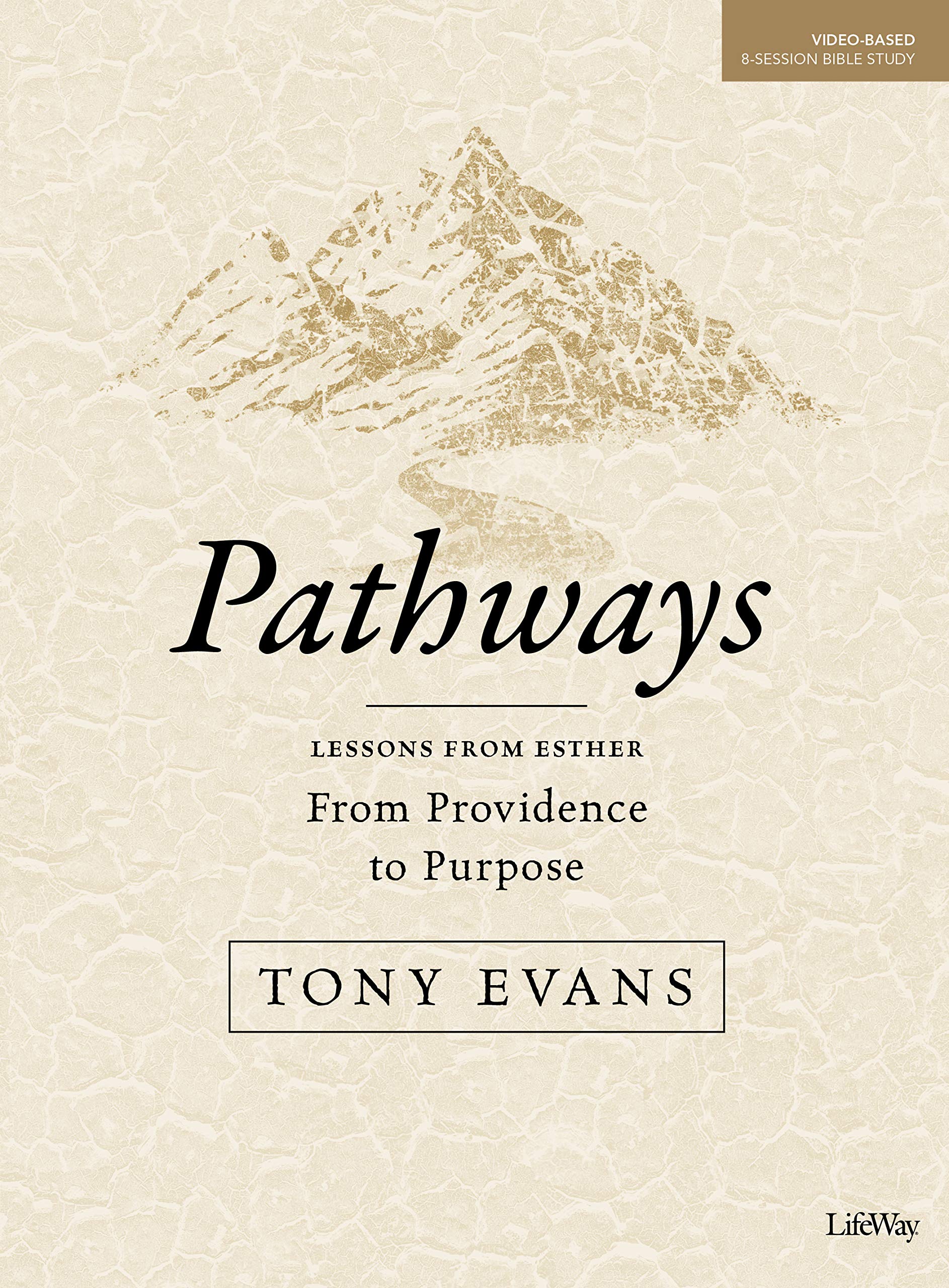 Pathways  Bible Study Book: From Providence to Purpose,Used