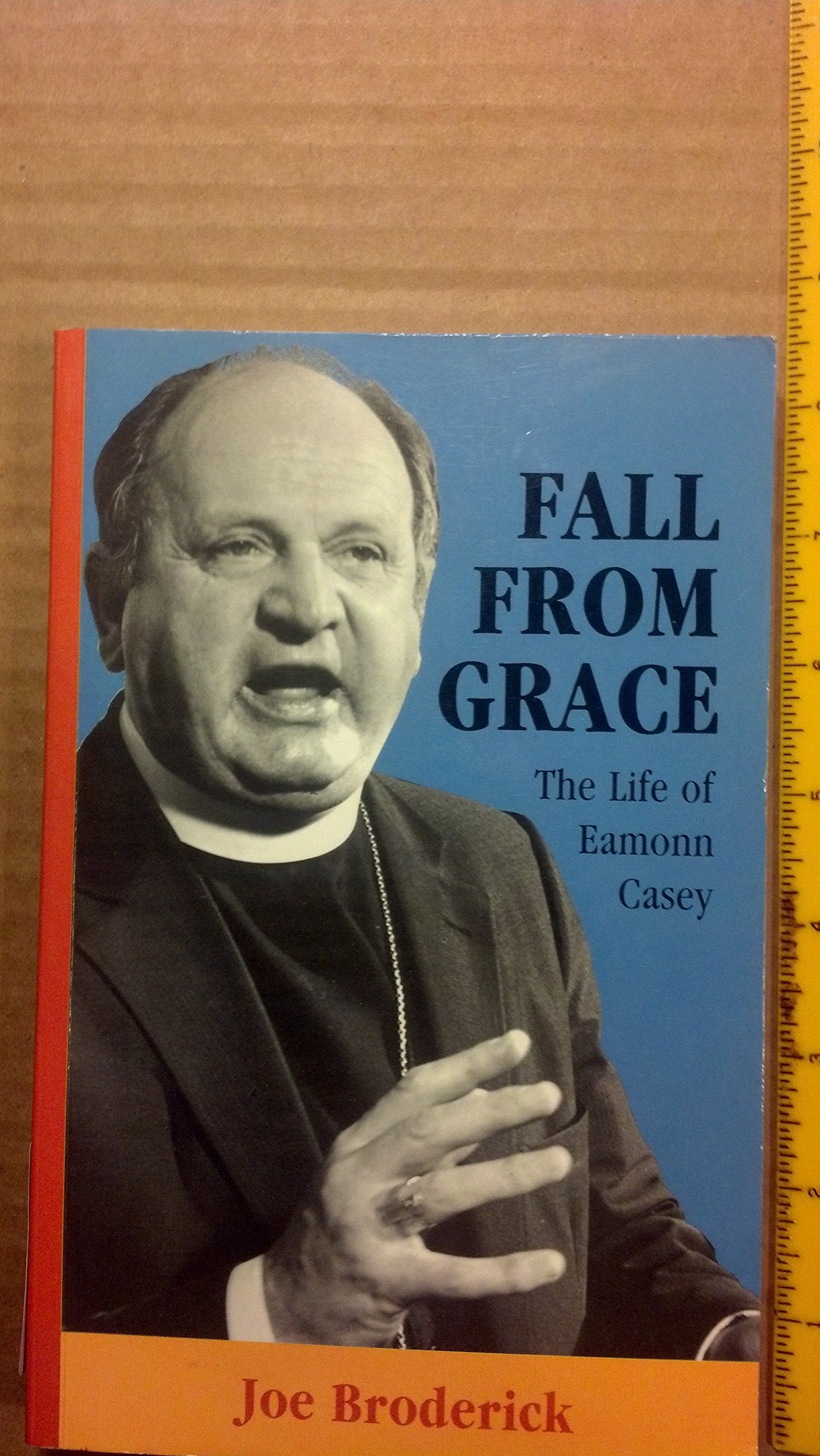 Fall From Grace: The Life of Eamonn Casey,Used