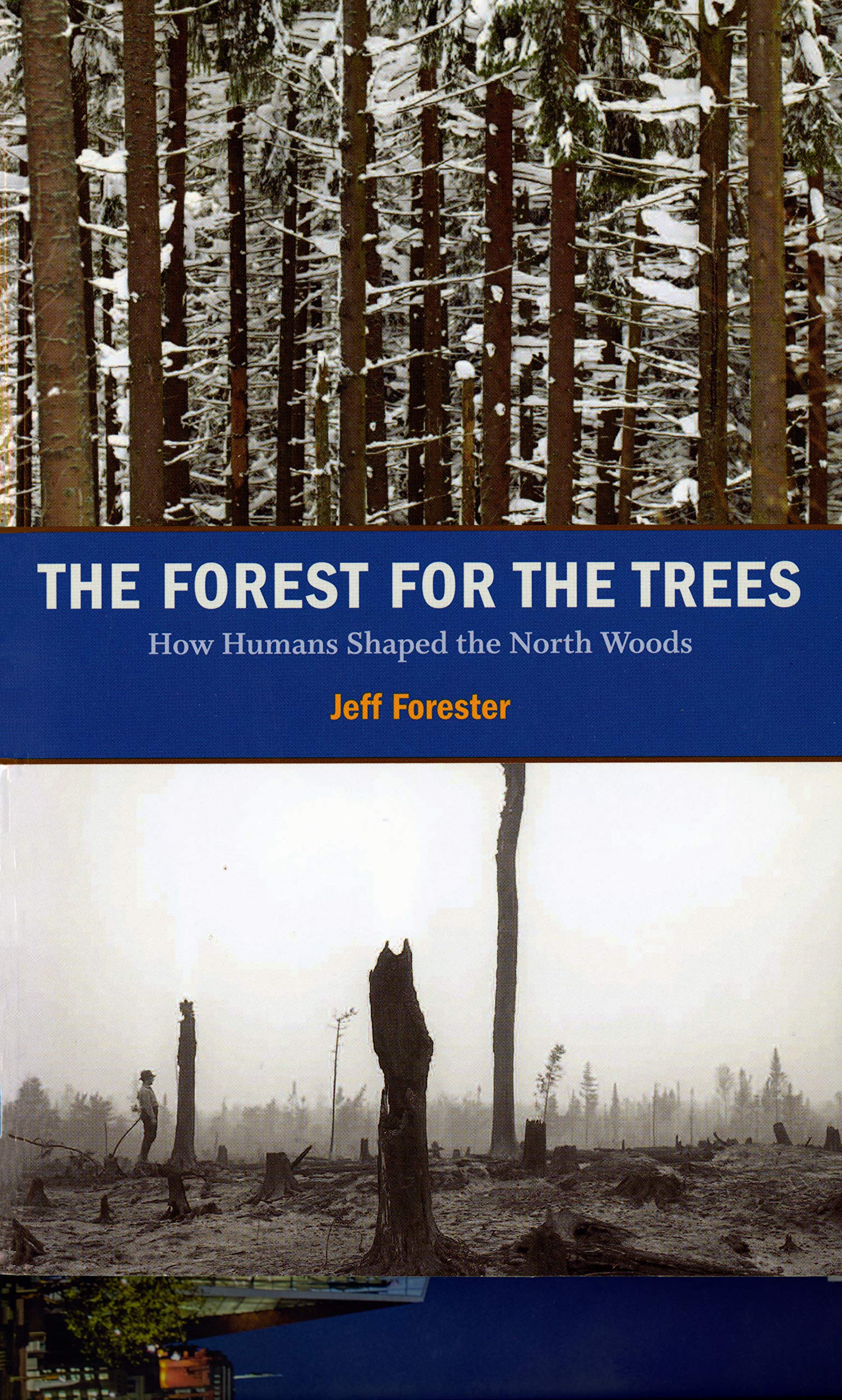 The Forest for the Trees: How Humans Shaped the North Woods,New