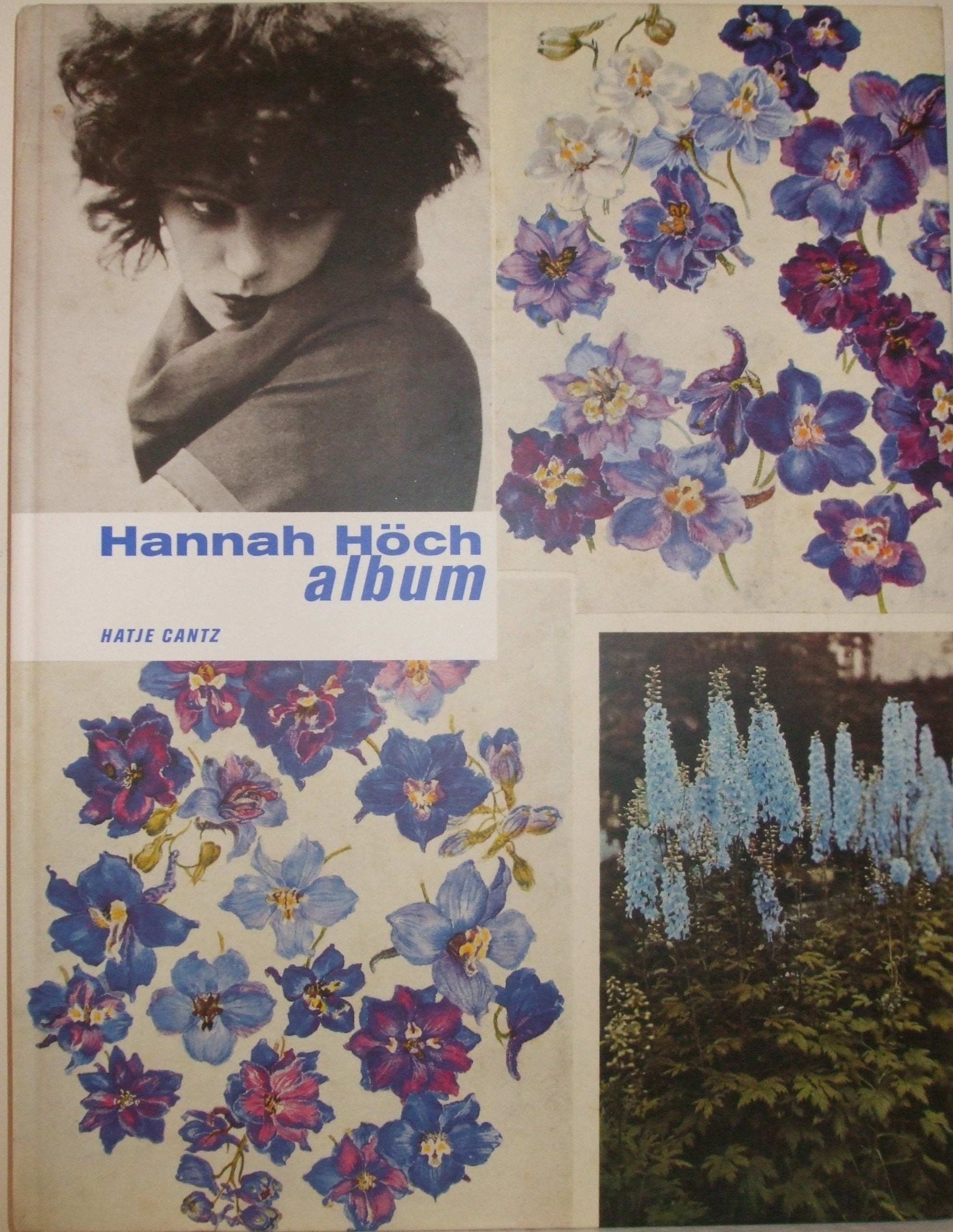 Hannah Hch: Album (English and German Edition),Used