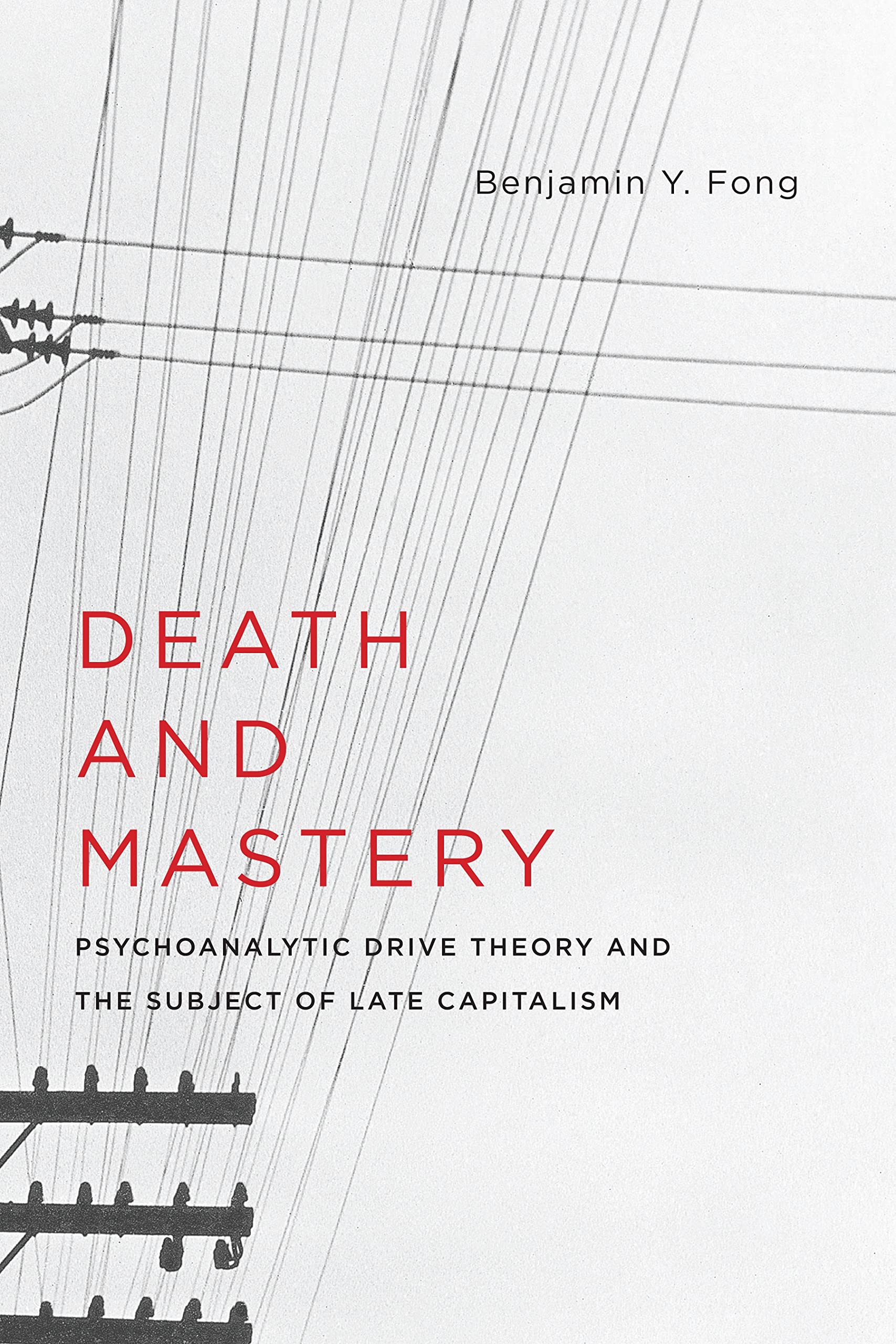 Death and Mastery: Psychoanalytic Drive Theory and the Subject of Late Capitalism (New Directions in Critical Theory, 61),Used