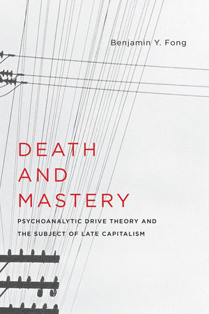 Death and Mastery: Psychoanalytic Drive Theory and the Subject of Late Capitalism (New Directions in Critical Theory, 61),Used