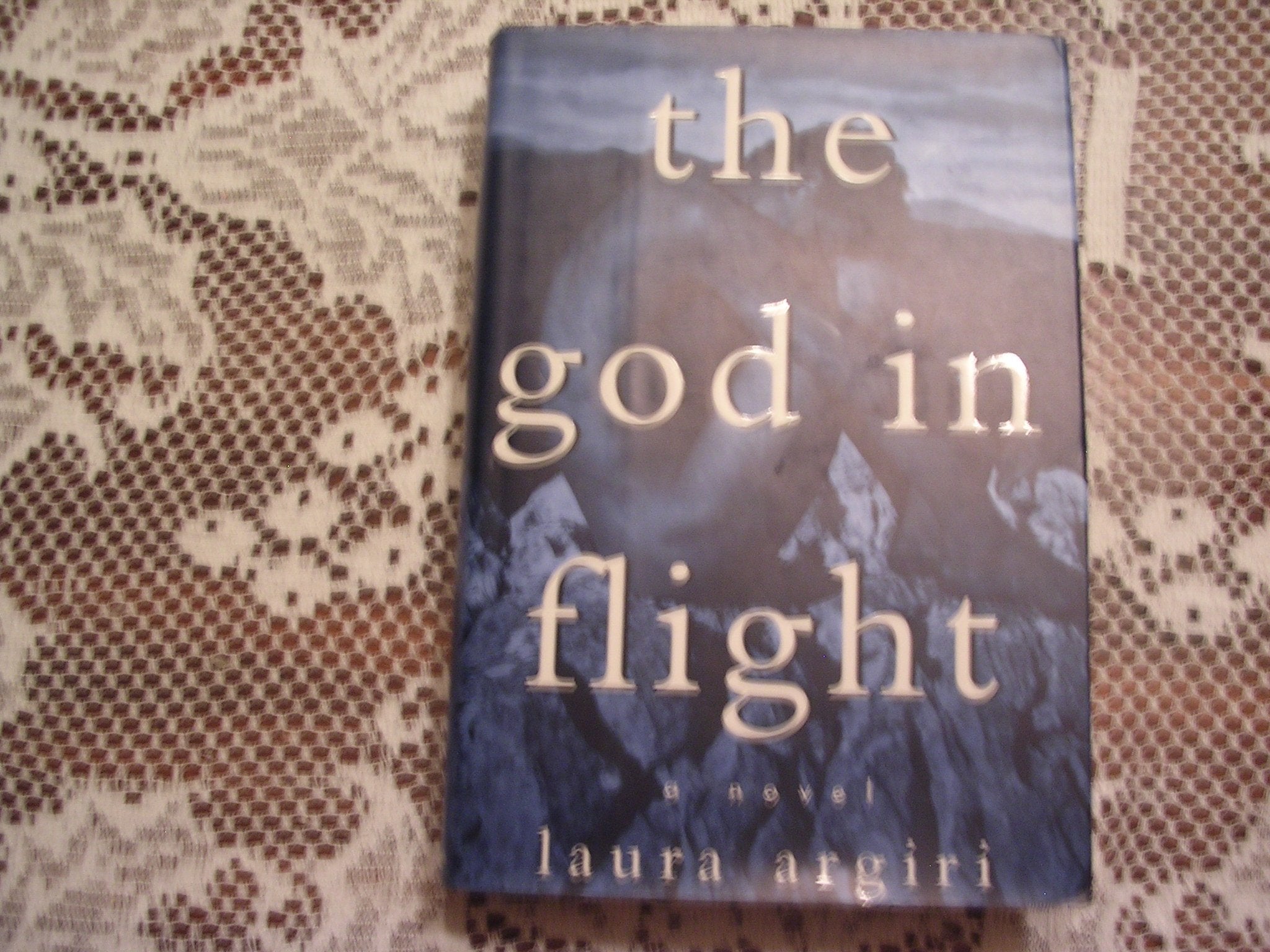 The God In Flight: A Novel,New