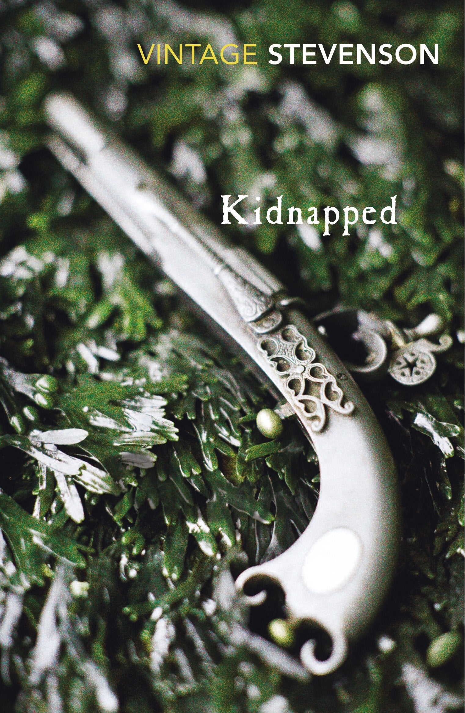 Kidnapped (Vintage Classics),Used