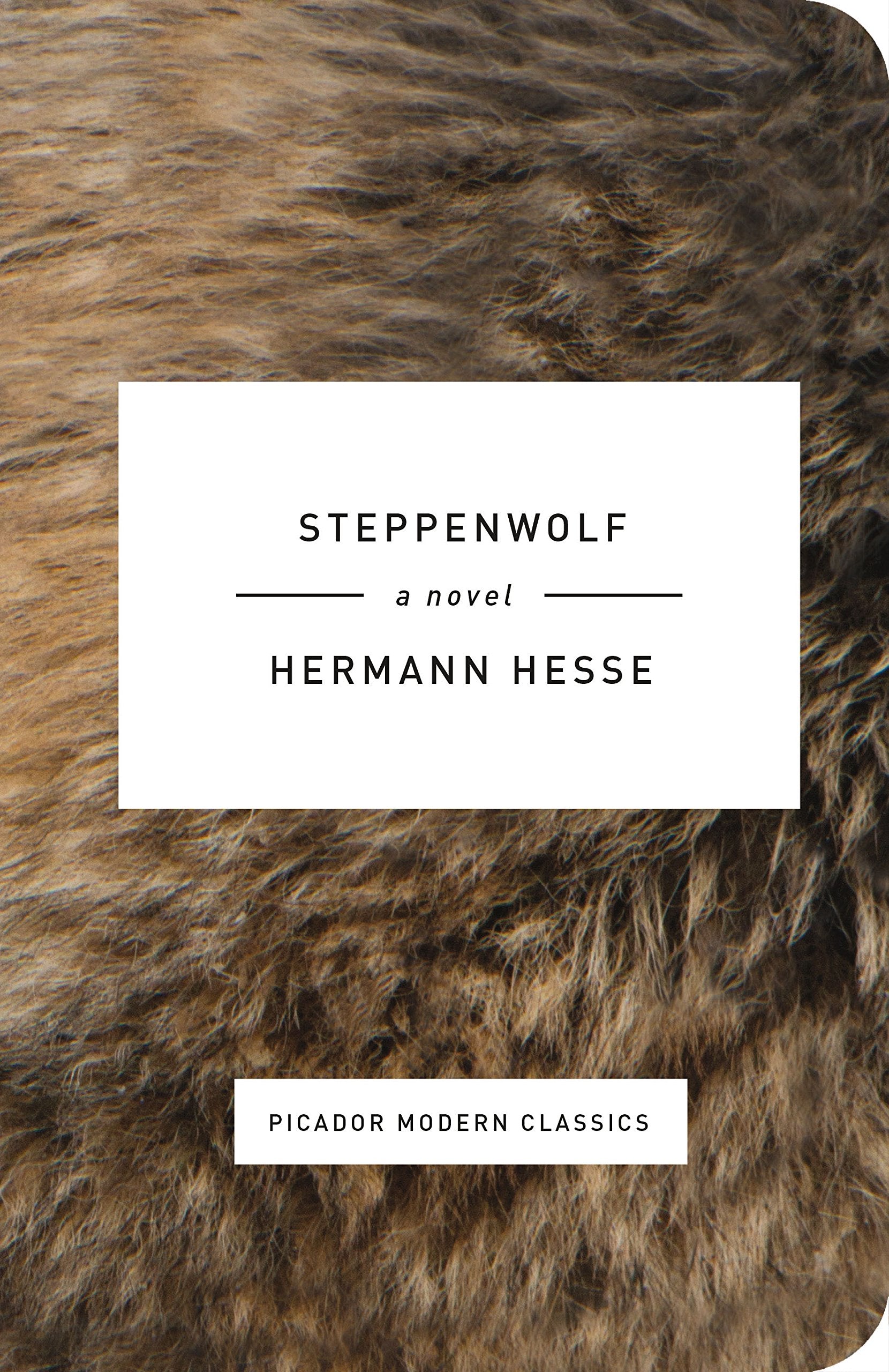 Steppenwolf: A Novel (Picador Modern Classics),Used