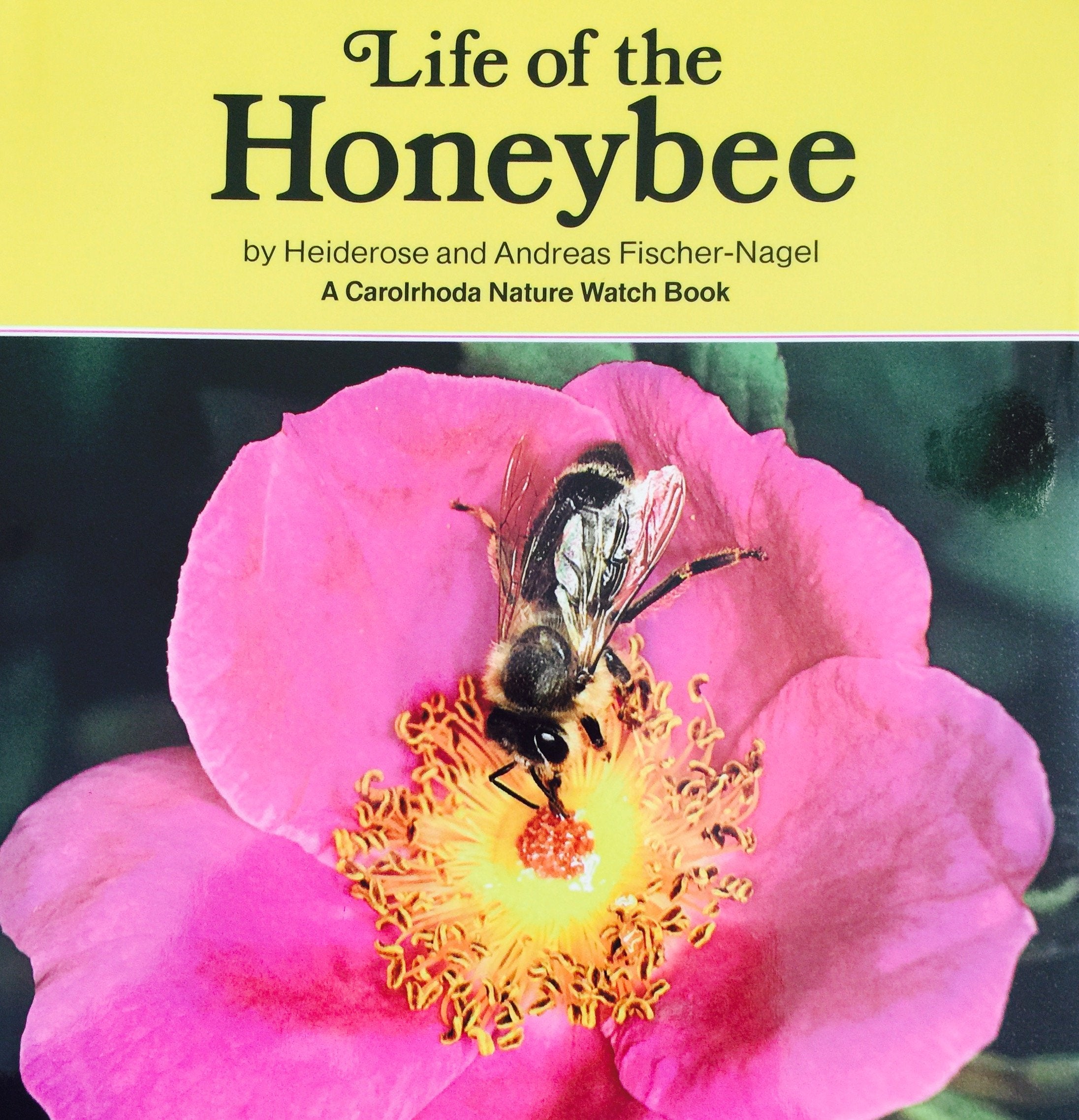 Life of the Honeybee (Nature Watch) (English and German Edition),Used
