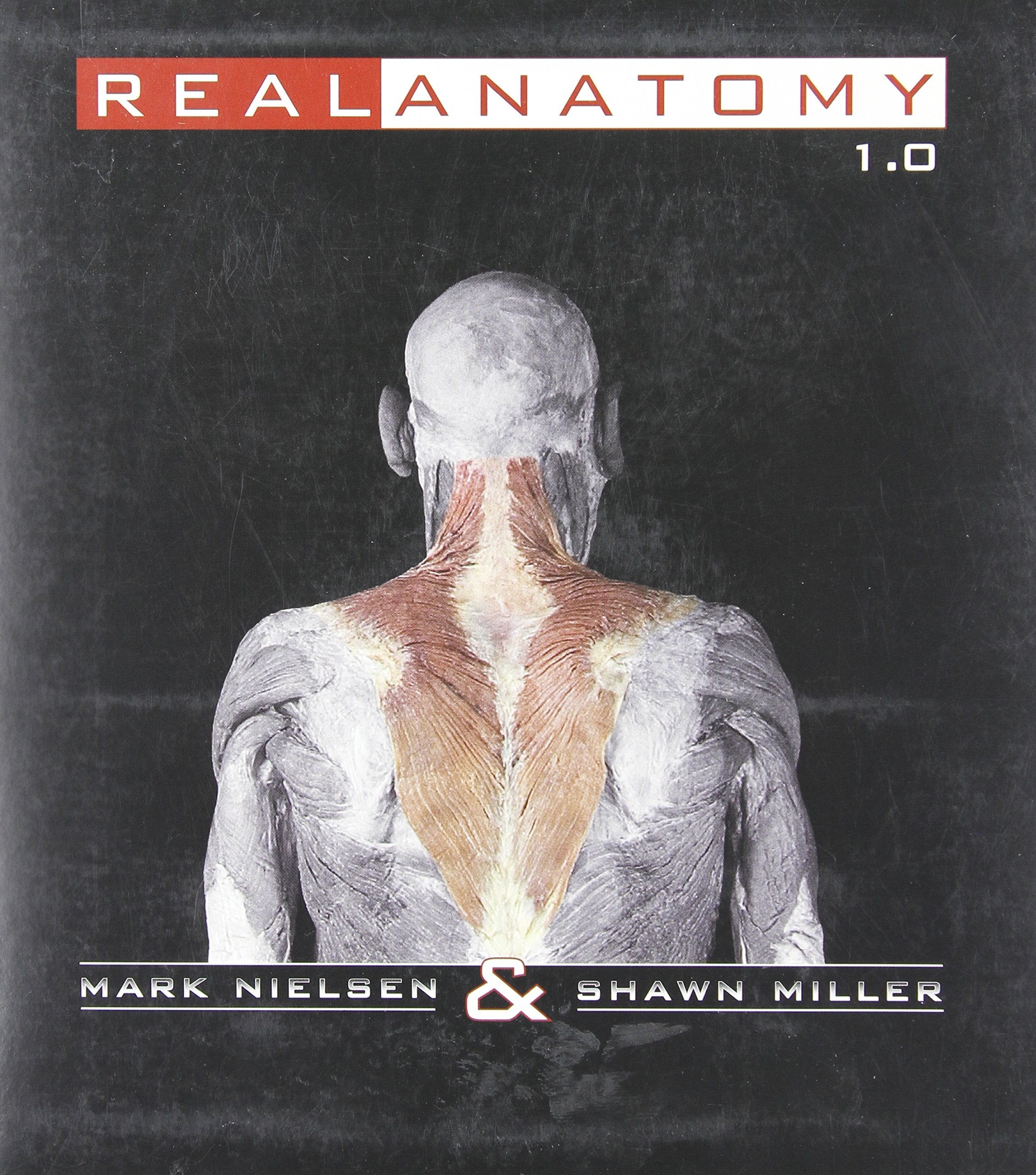 Real Anatomy Software Dvd