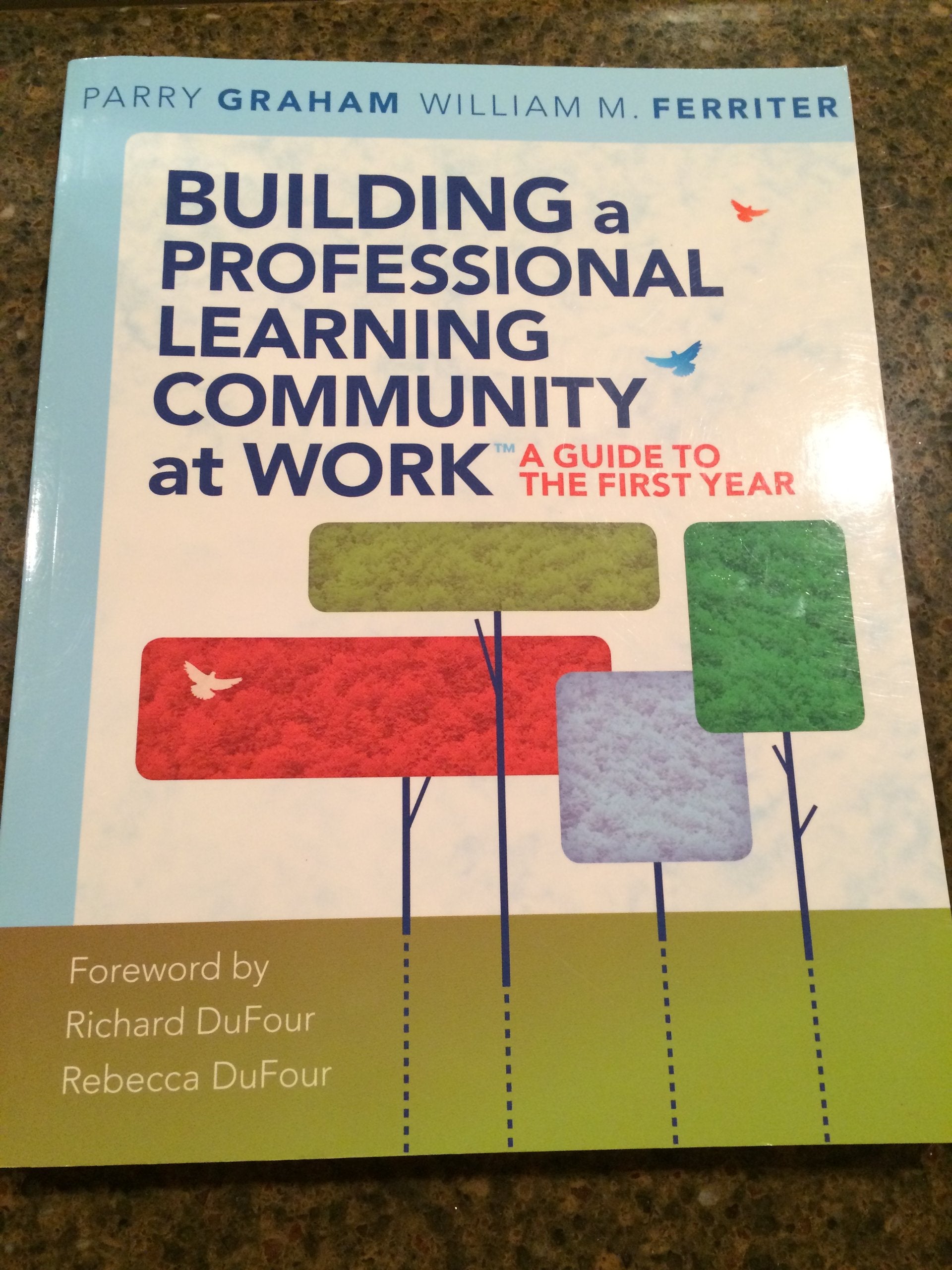 Building a Professional Learning Community at Work: A Guide to the First Year (a playbyplay guide to implementing PLC concepts,New