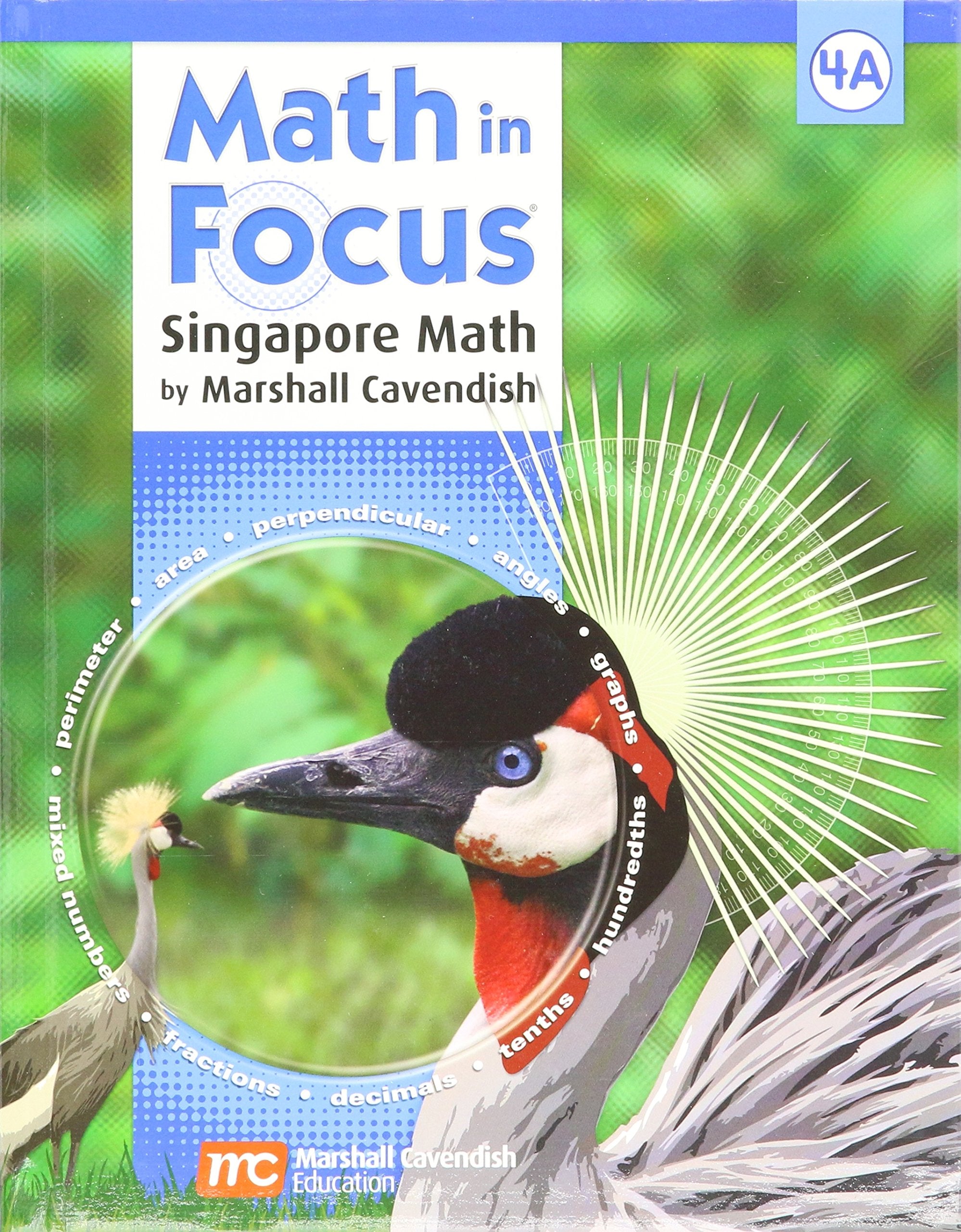 Math in Focus: Singapore Math Grade 4,New