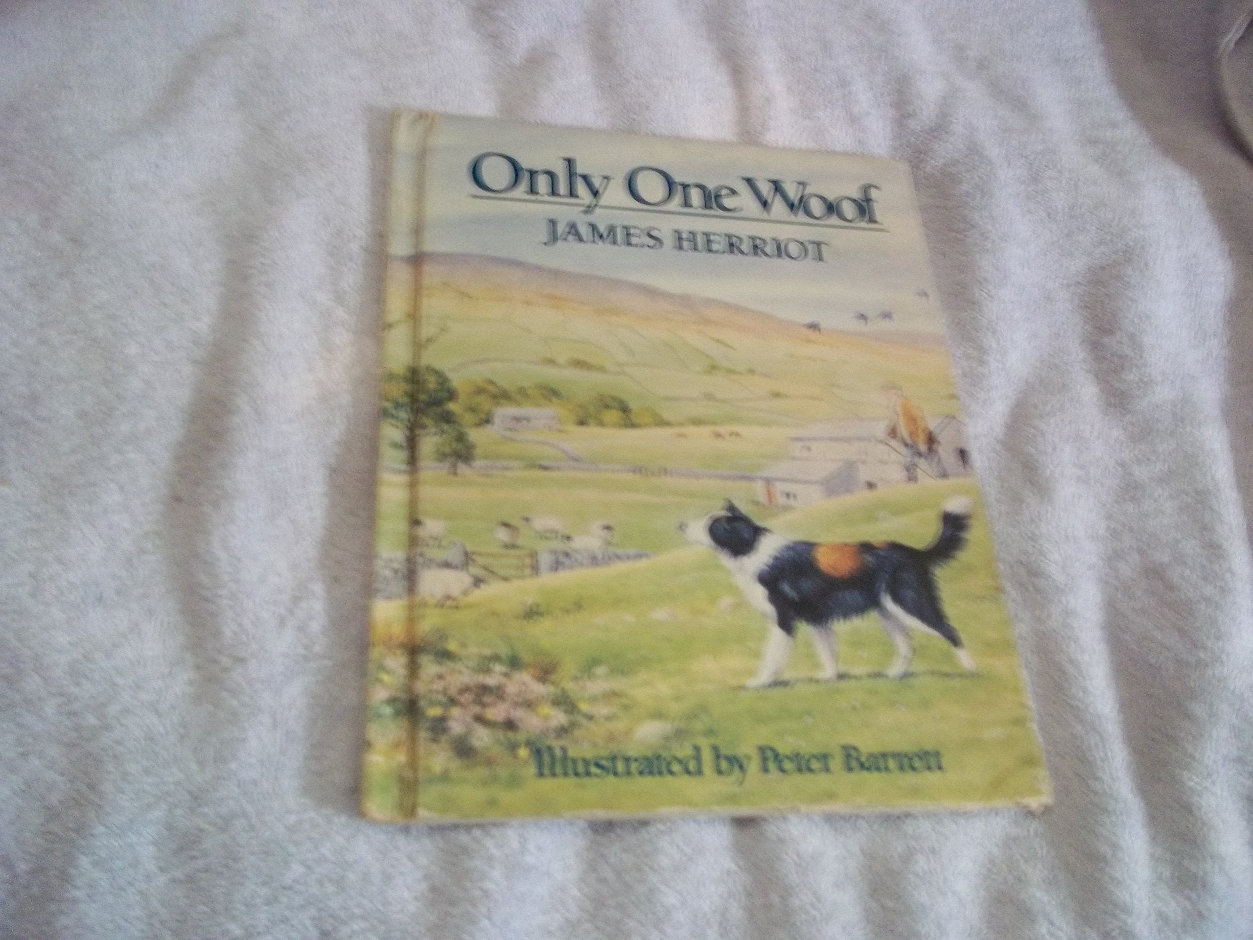 Only One Woof,New